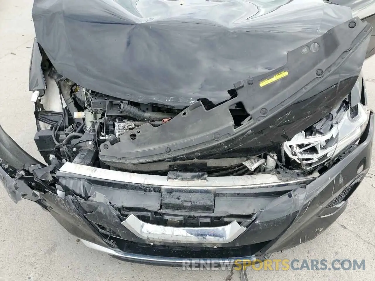 12 Photograph of a damaged car 1N4AA6AV3KC365956 NISSAN MAXIMA 2019