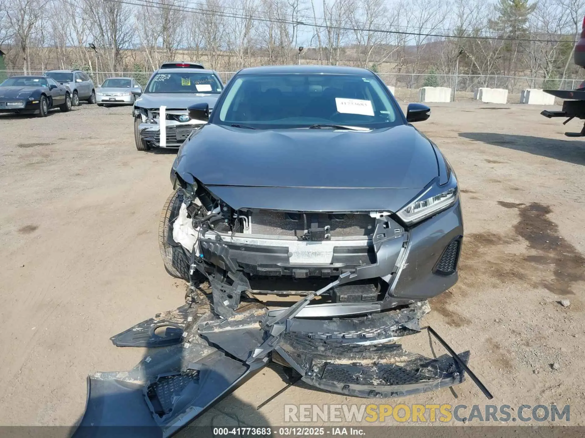 12 Photograph of a damaged car 1N4AA6AV3KC366766 NISSAN MAXIMA 2019