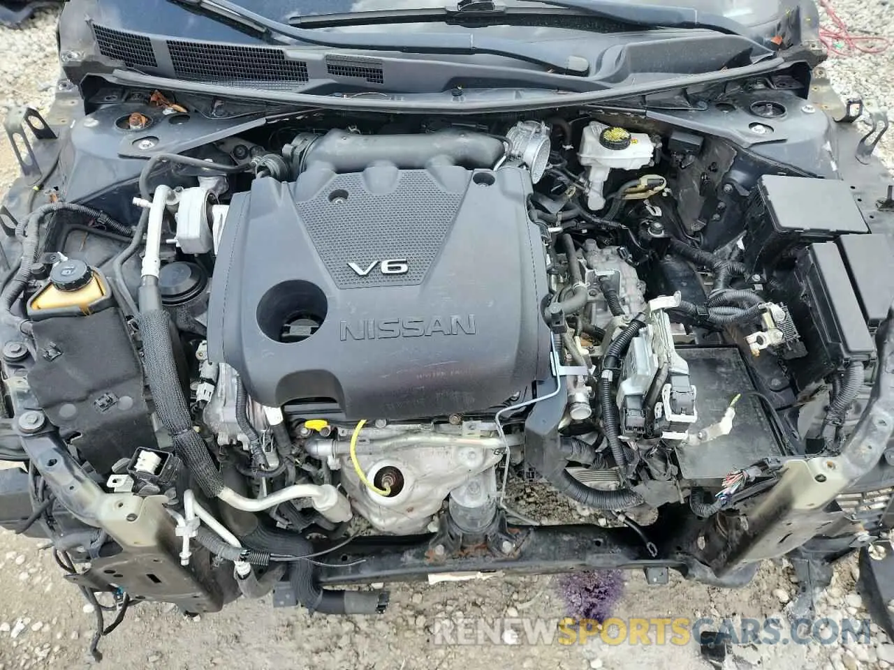 11 Photograph of a damaged car 1N4AA6AV3KC377833 NISSAN MAXIMA 2019