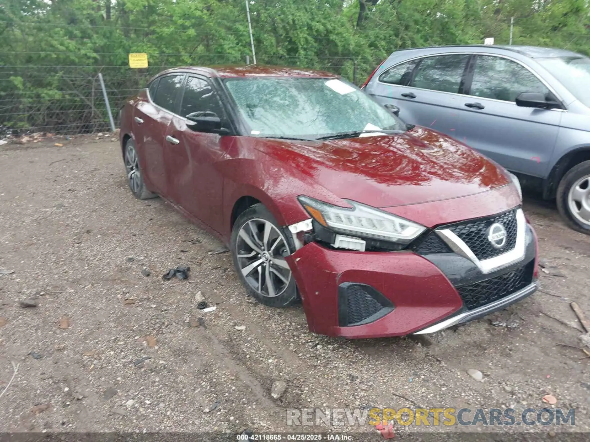 1 Photograph of a damaged car 1N4AA6AV4KC361687 NISSAN MAXIMA 2019