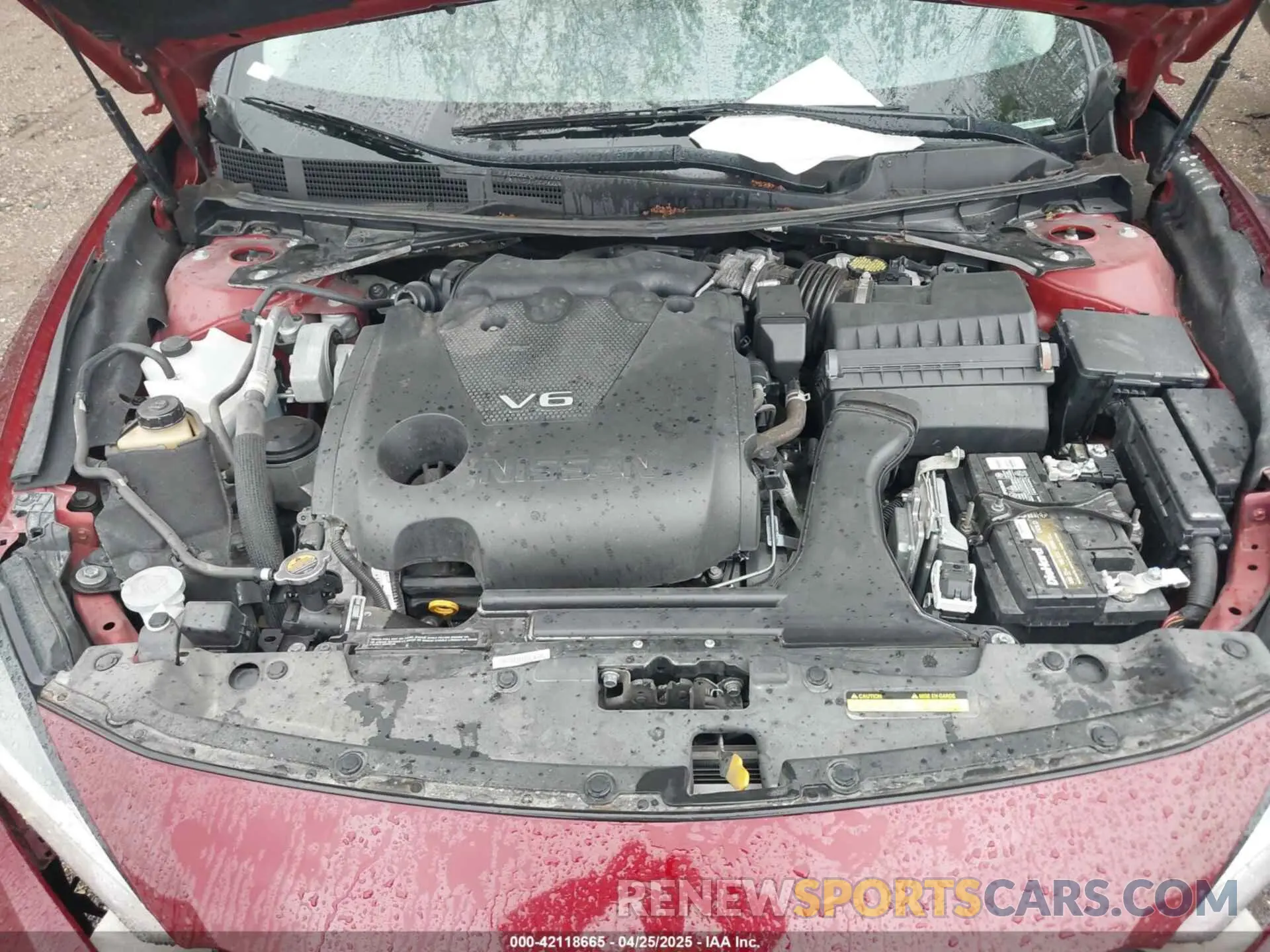 10 Photograph of a damaged car 1N4AA6AV4KC361687 NISSAN MAXIMA 2019