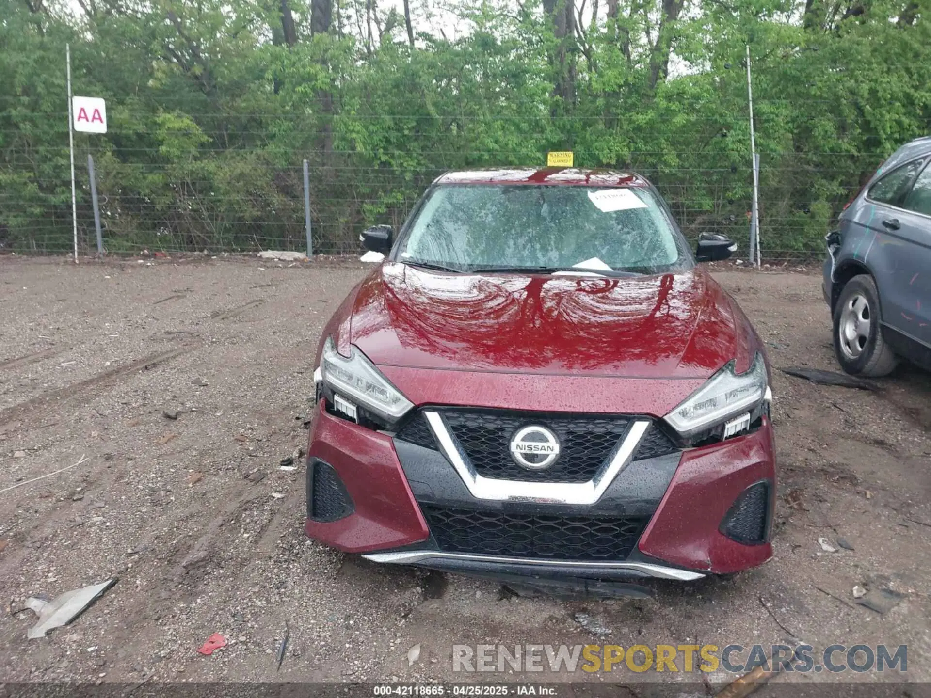 12 Photograph of a damaged car 1N4AA6AV4KC361687 NISSAN MAXIMA 2019