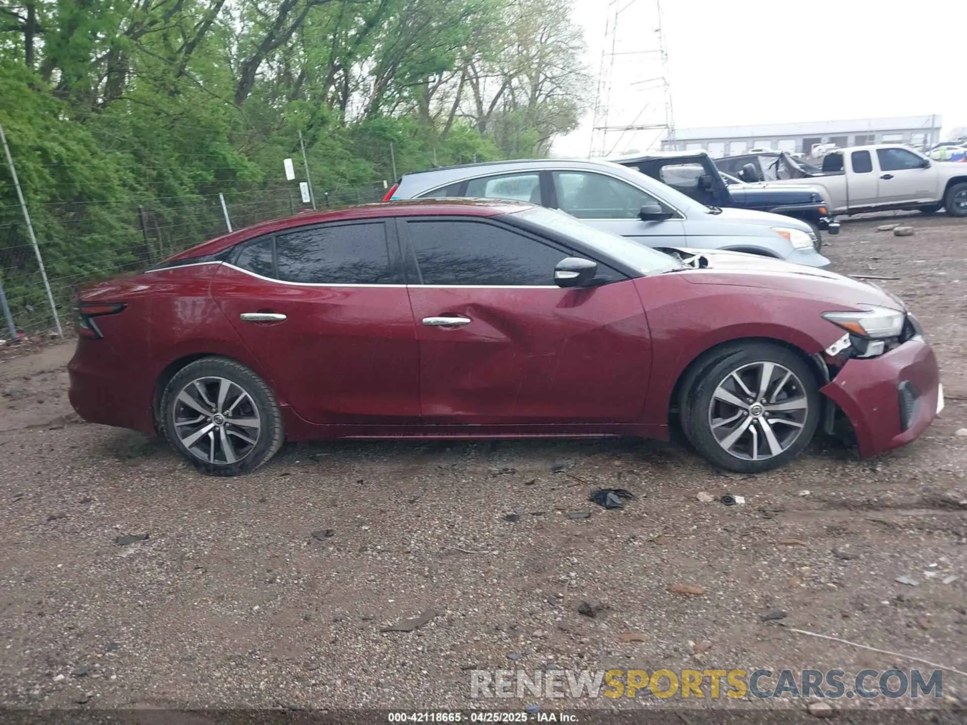 13 Photograph of a damaged car 1N4AA6AV4KC361687 NISSAN MAXIMA 2019