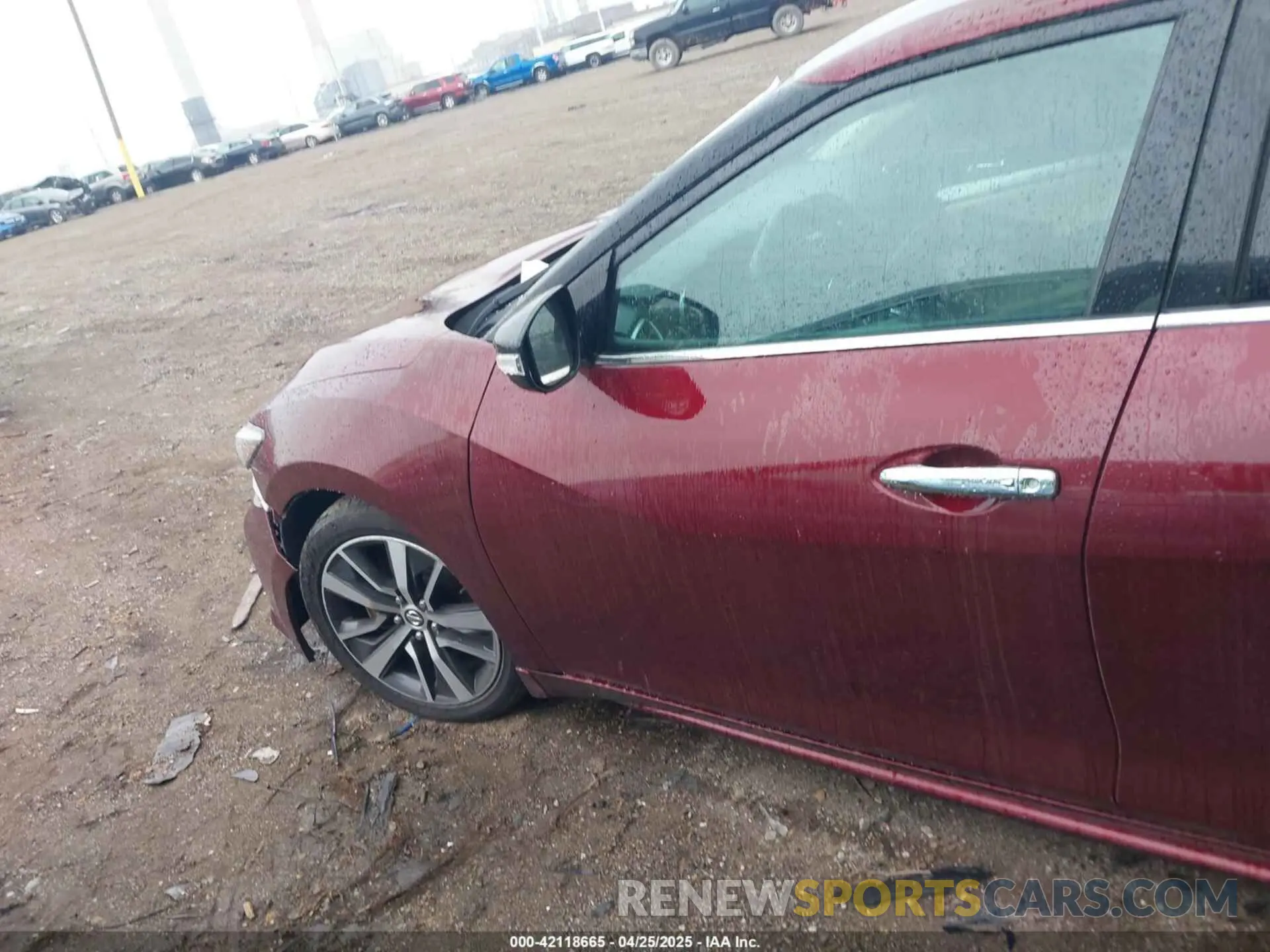 14 Photograph of a damaged car 1N4AA6AV4KC361687 NISSAN MAXIMA 2019