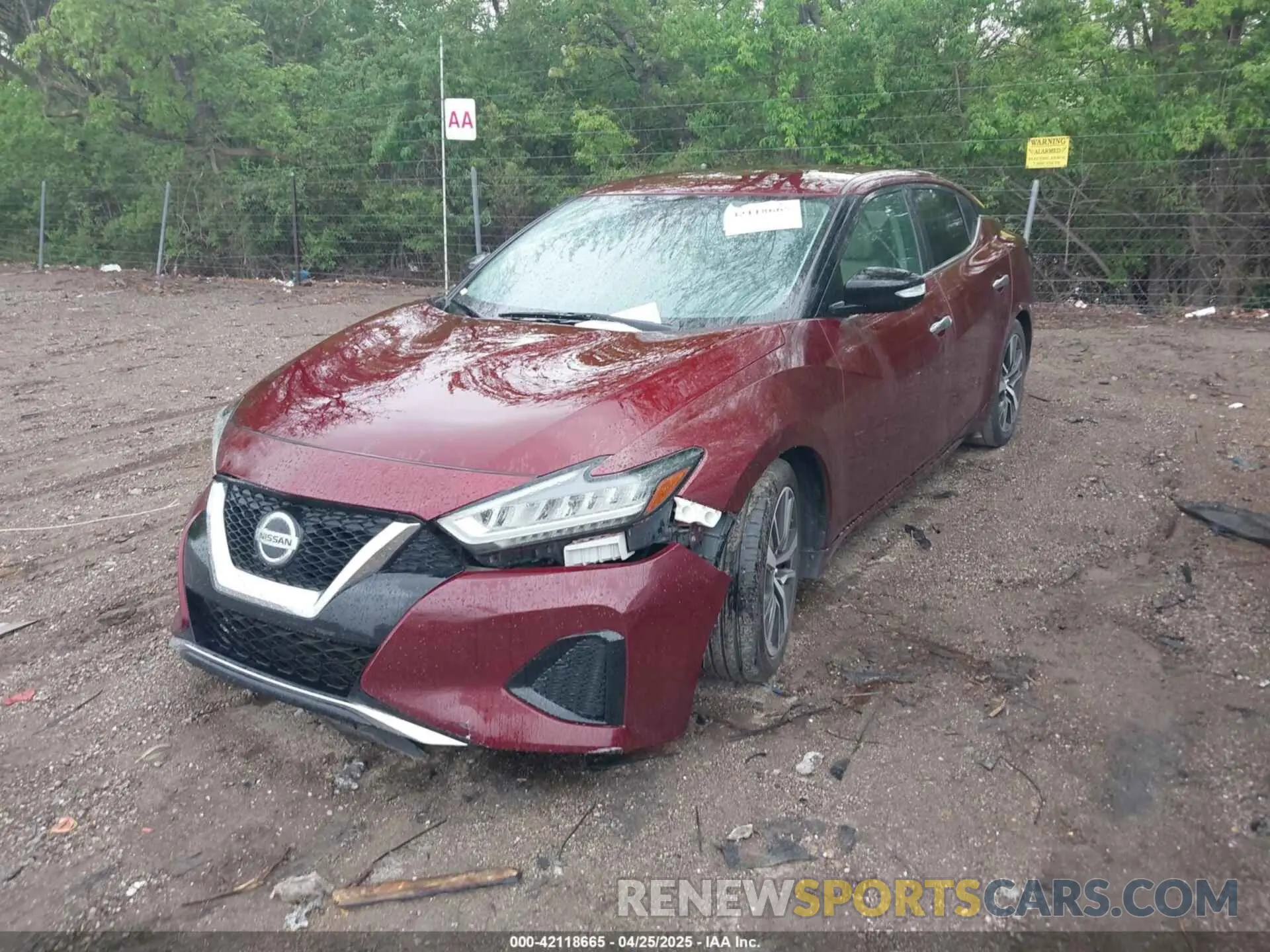 2 Photograph of a damaged car 1N4AA6AV4KC361687 NISSAN MAXIMA 2019