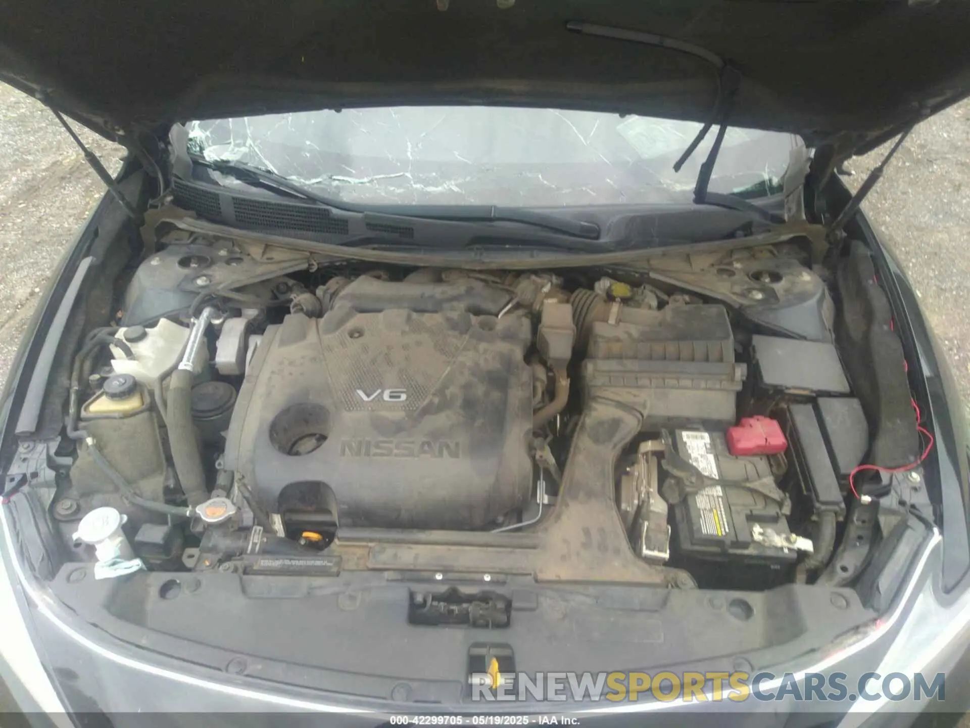 10 Photograph of a damaged car 1N4AA6AV4KC366176 NISSAN MAXIMA 2019