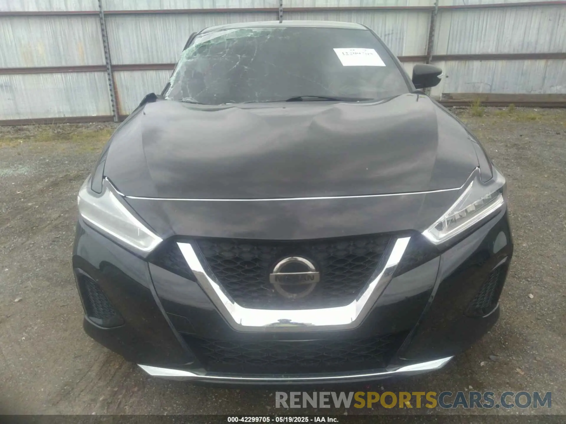 12 Photograph of a damaged car 1N4AA6AV4KC366176 NISSAN MAXIMA 2019