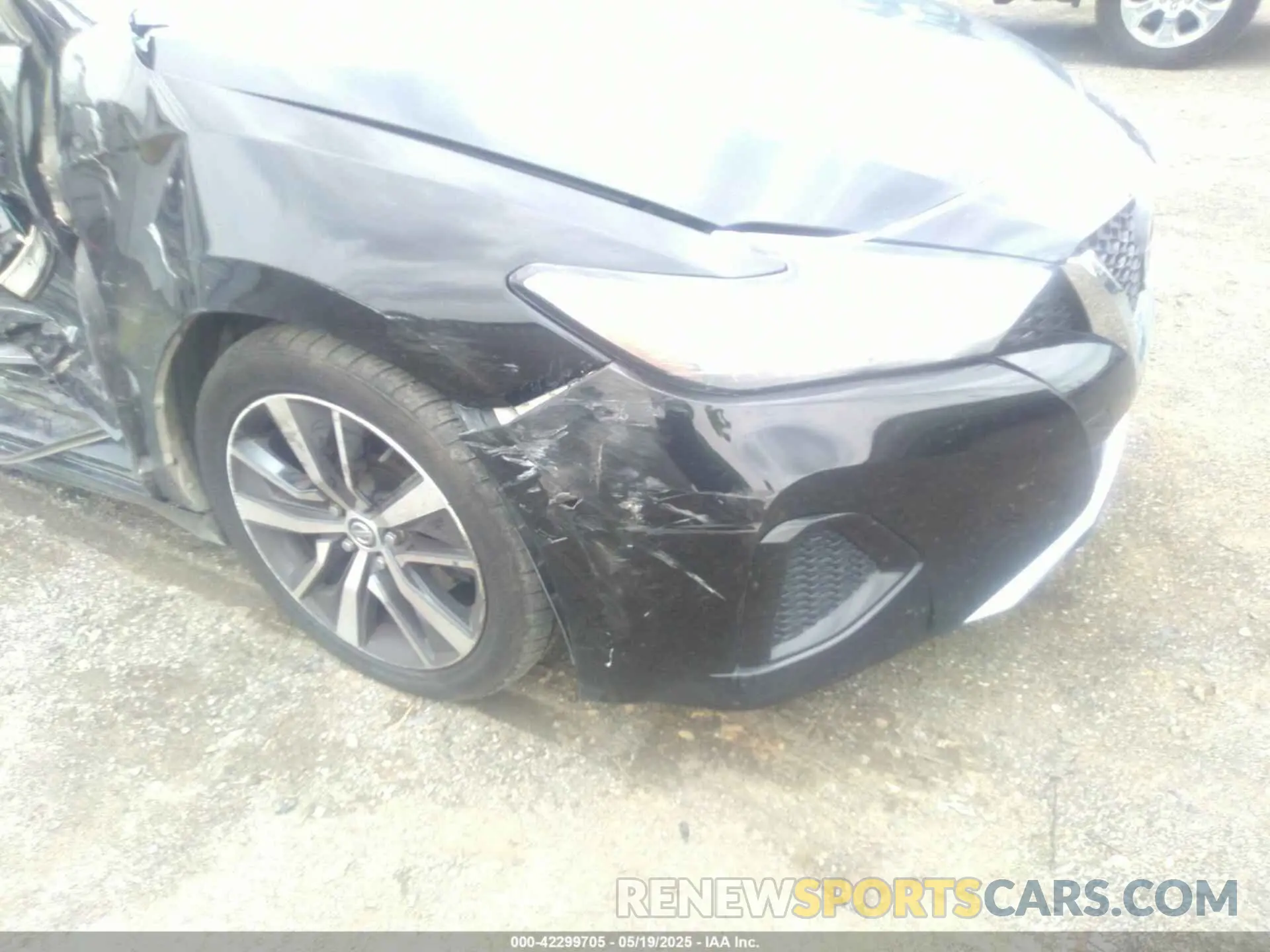 17 Photograph of a damaged car 1N4AA6AV4KC366176 NISSAN MAXIMA 2019
