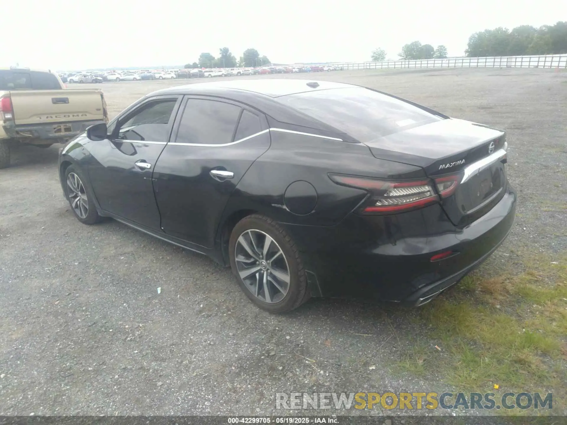 3 Photograph of a damaged car 1N4AA6AV4KC366176 NISSAN MAXIMA 2019