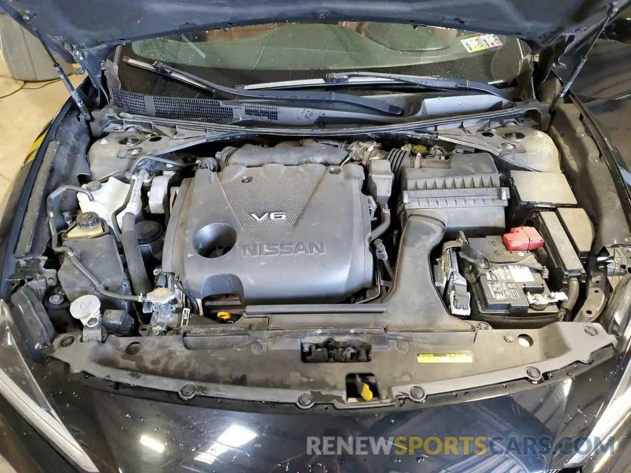 11 Photograph of a damaged car 1N4AA6AV4KC373872 NISSAN MAXIMA 2019
