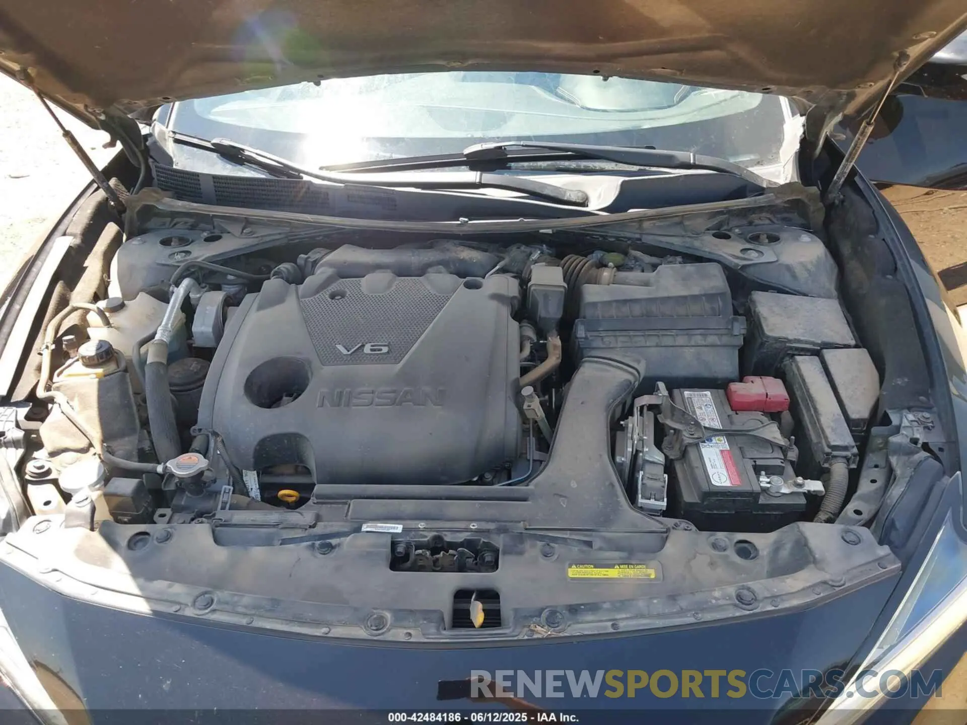 10 Photograph of a damaged car 1N4AA6AV4KC374682 NISSAN MAXIMA 2019