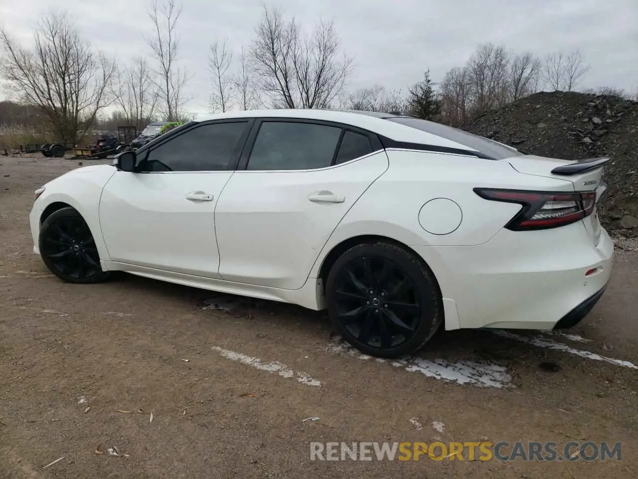 2 Photograph of a damaged car 1N4AA6AV4KC376867 NISSAN MAXIMA 2019