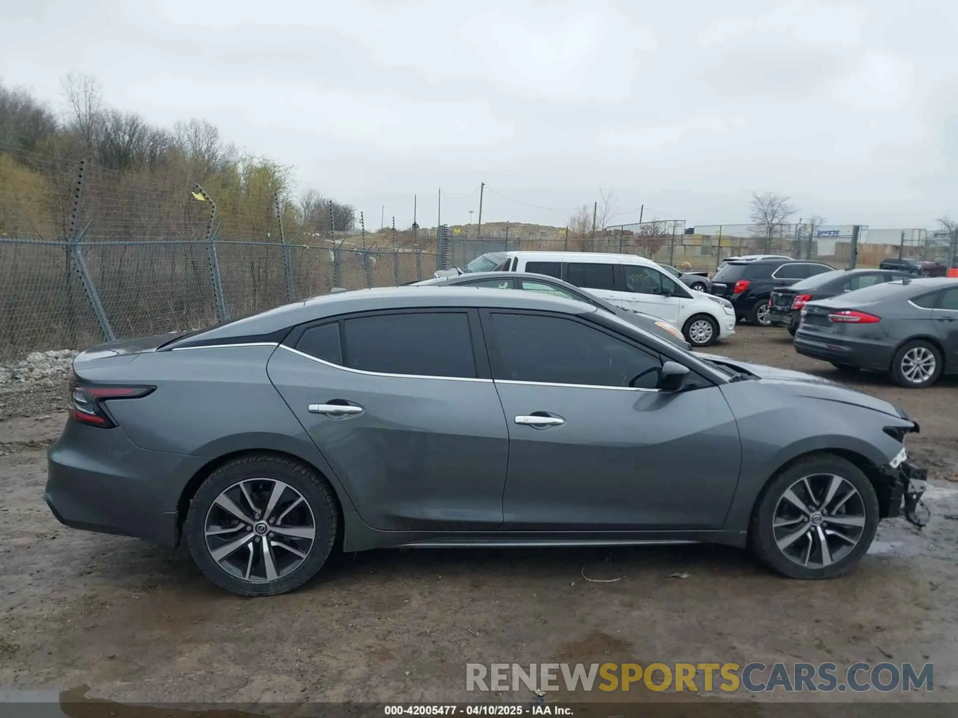 13 Photograph of a damaged car 1N4AA6AV4KC377243 NISSAN MAXIMA 2019