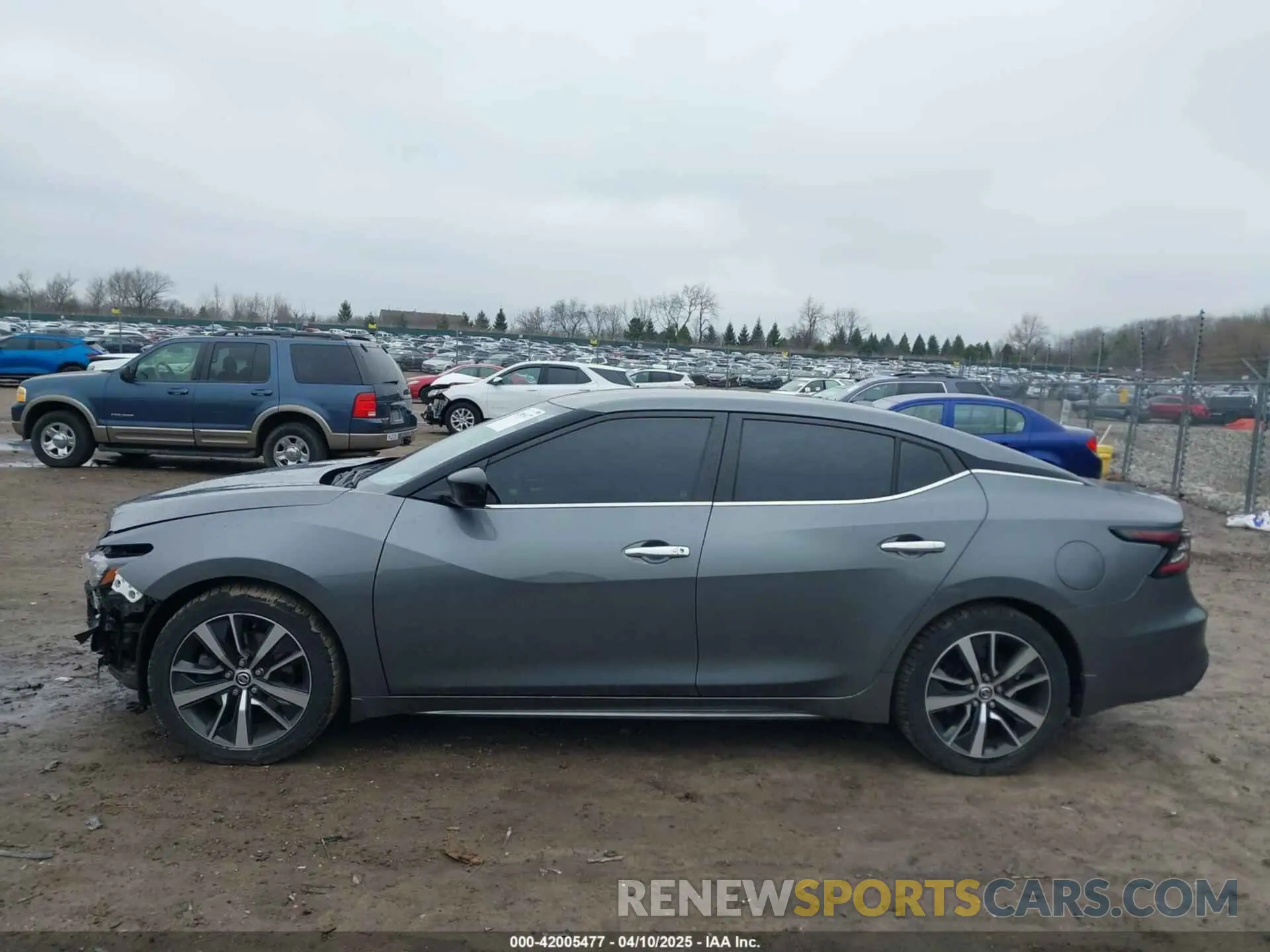14 Photograph of a damaged car 1N4AA6AV4KC377243 NISSAN MAXIMA 2019