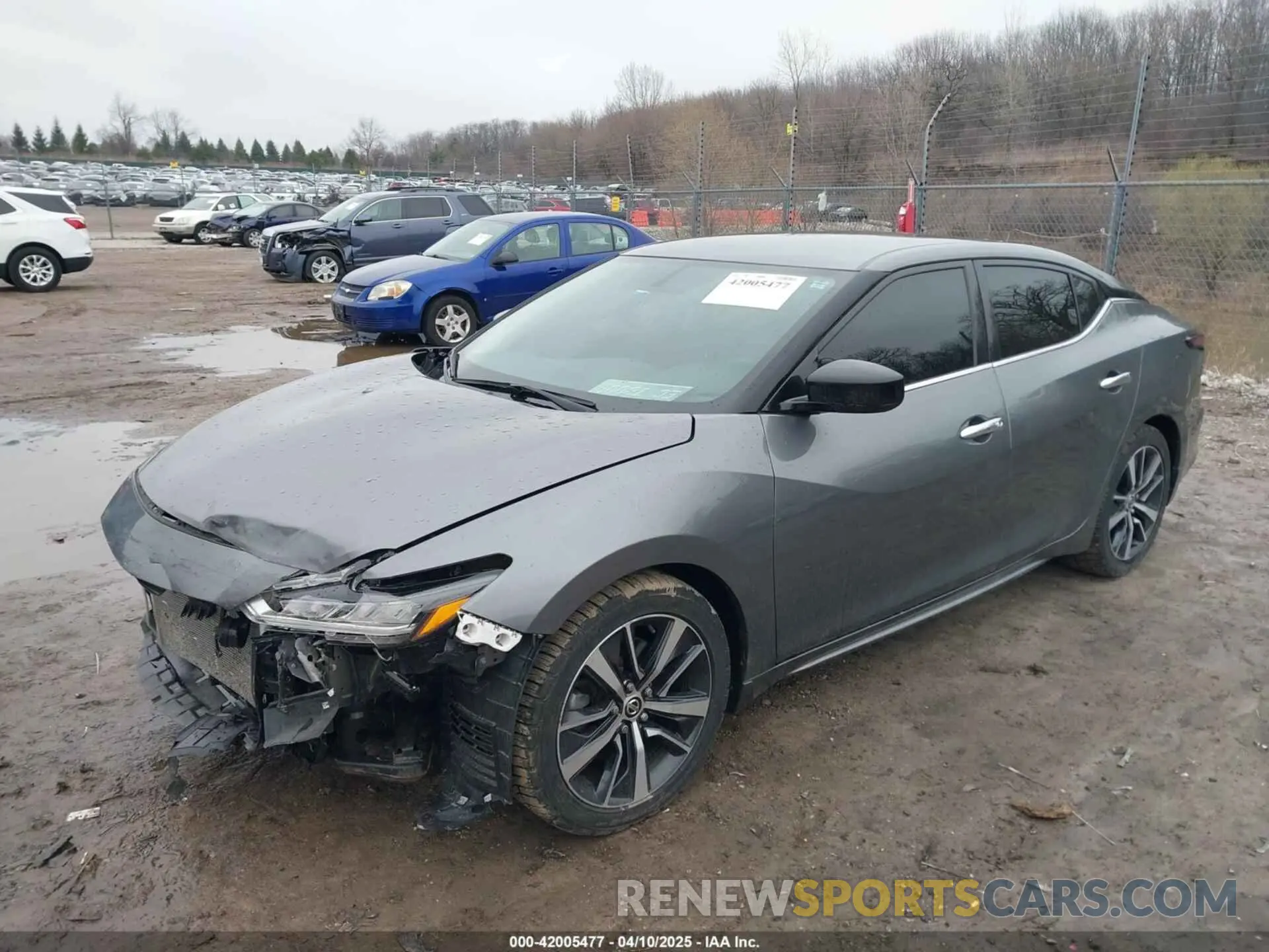 2 Photograph of a damaged car 1N4AA6AV4KC377243 NISSAN MAXIMA 2019