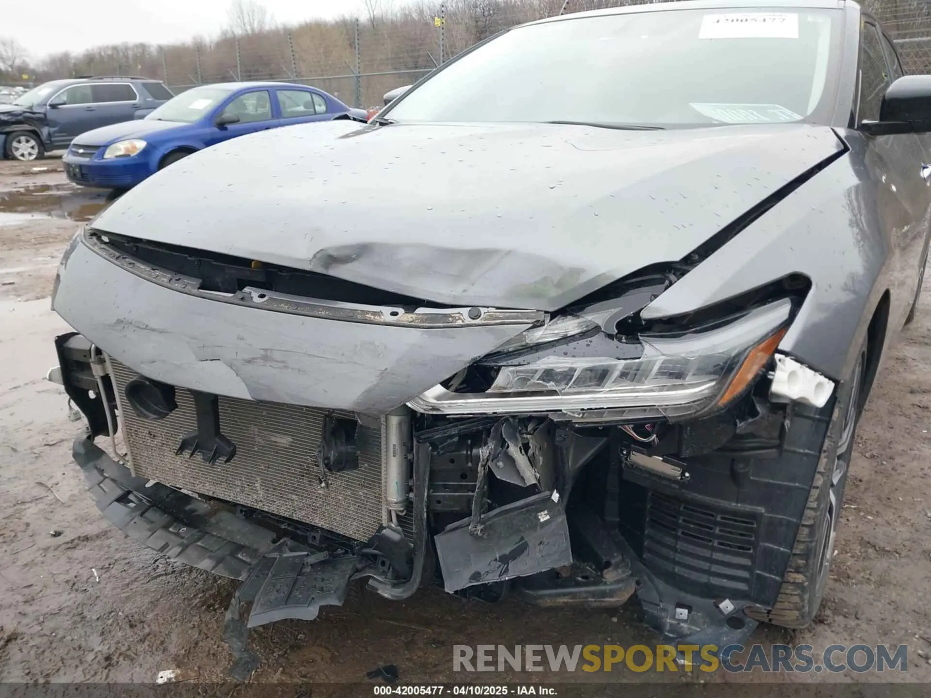 6 Photograph of a damaged car 1N4AA6AV4KC377243 NISSAN MAXIMA 2019