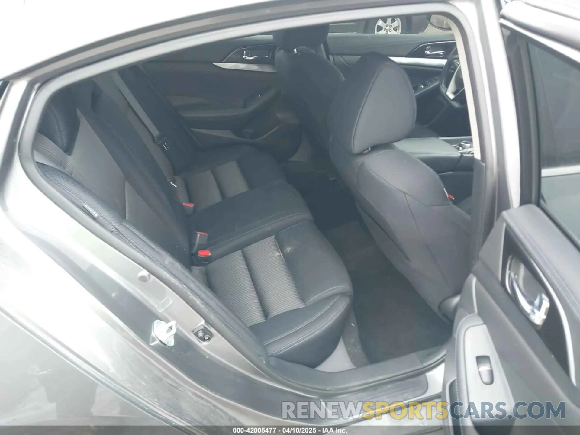 8 Photograph of a damaged car 1N4AA6AV4KC377243 NISSAN MAXIMA 2019