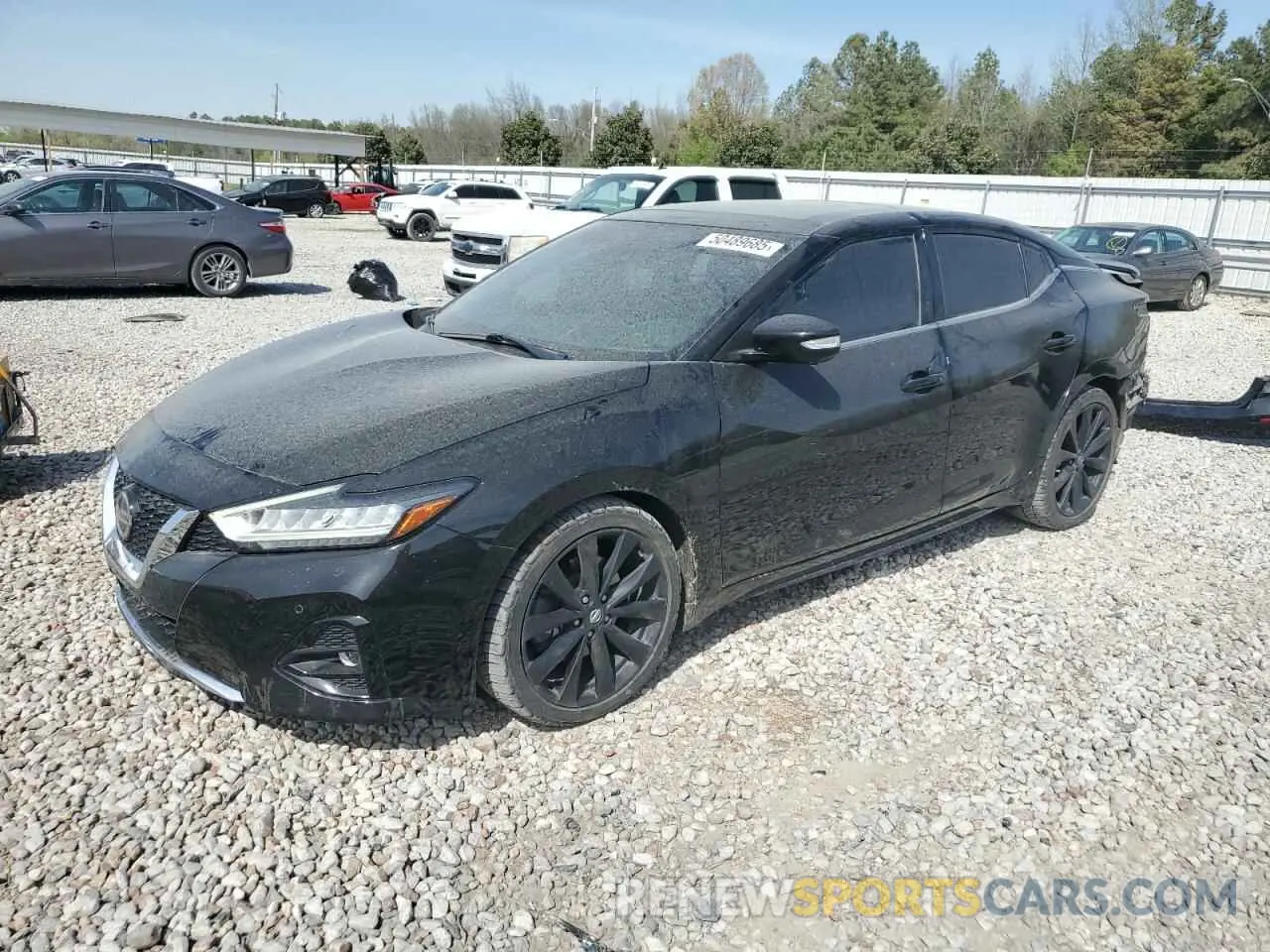 1 Photograph of a damaged car 1N4AA6AV5KC367028 NISSAN MAXIMA 2019