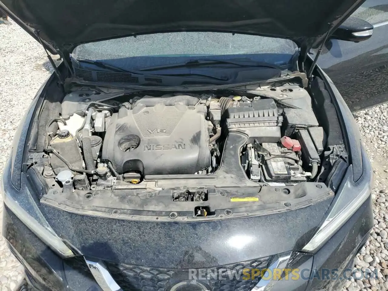 13 Photograph of a damaged car 1N4AA6AV5KC367028 NISSAN MAXIMA 2019