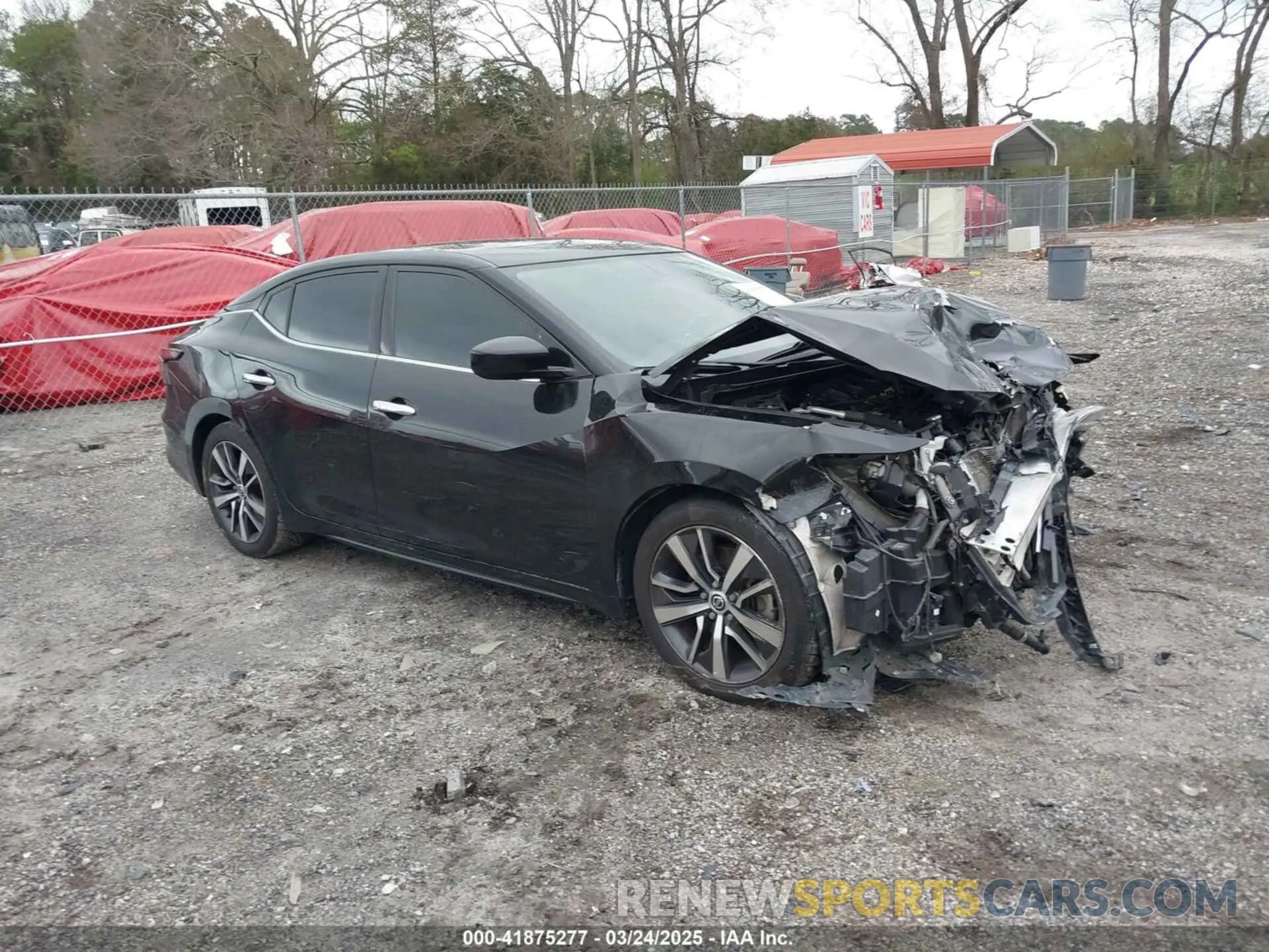 1 Photograph of a damaged car 1N4AA6AV5KC371760 NISSAN MAXIMA 2019