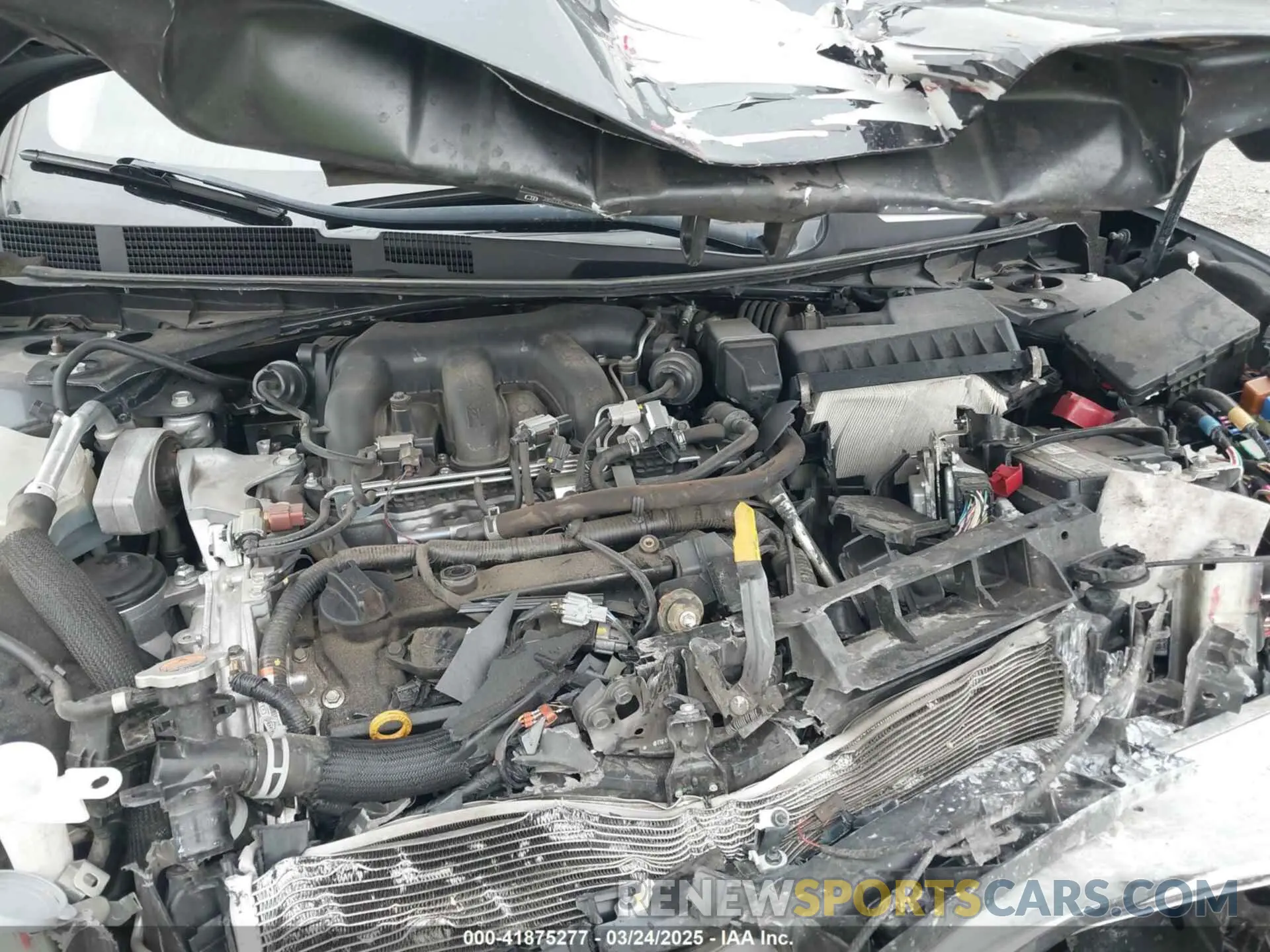 10 Photograph of a damaged car 1N4AA6AV5KC371760 NISSAN MAXIMA 2019