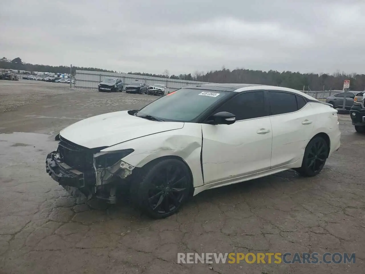 1 Photograph of a damaged car 1N4AA6AV5KC373153 NISSAN MAXIMA 2019