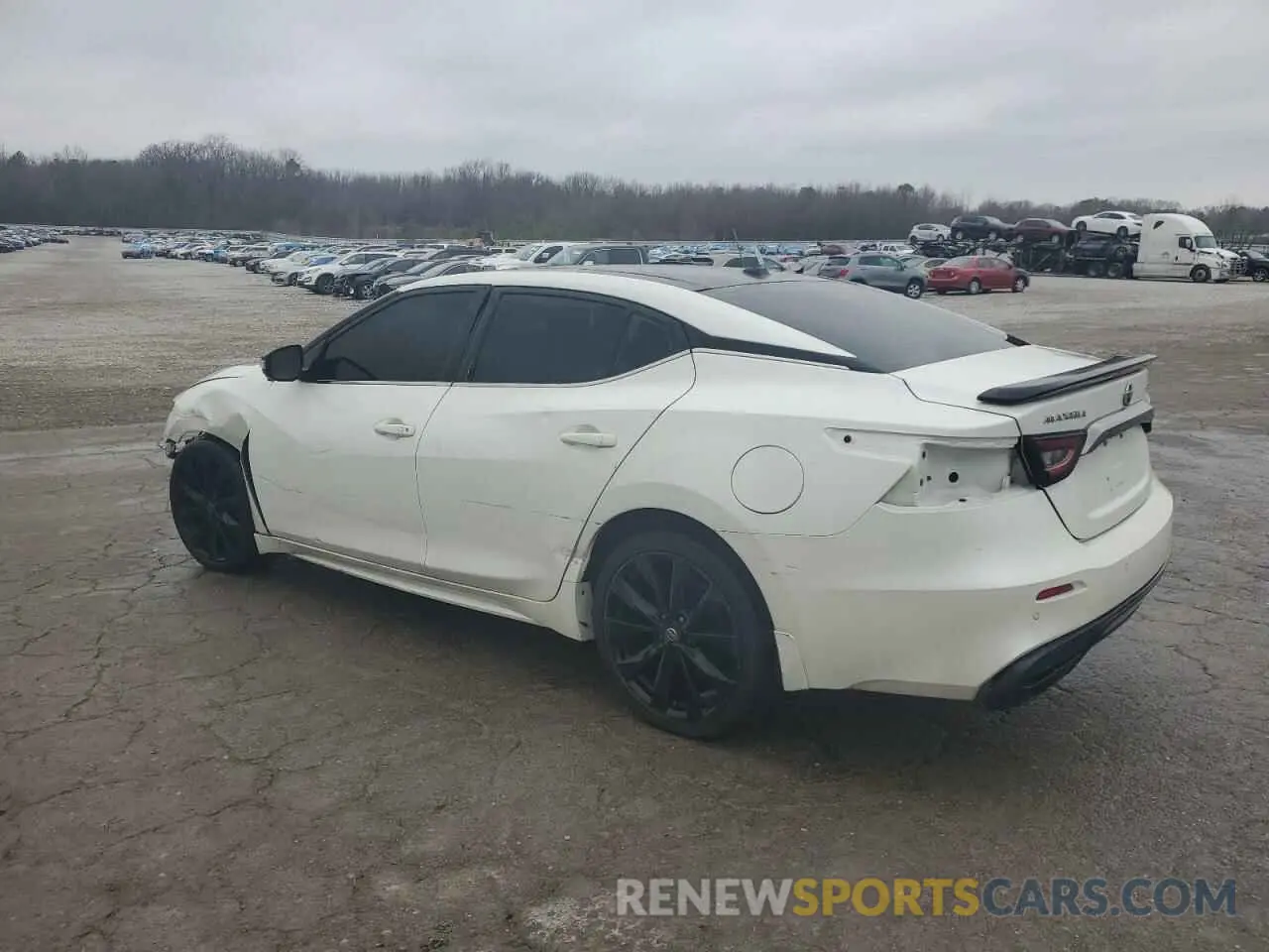 2 Photograph of a damaged car 1N4AA6AV5KC373153 NISSAN MAXIMA 2019