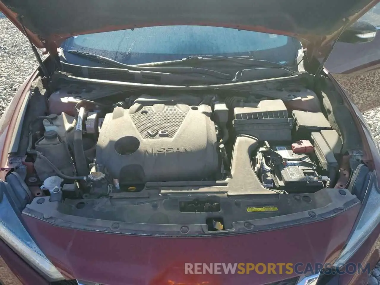 11 Photograph of a damaged car 1N4AA6AV5KC373640 NISSAN MAXIMA 2019