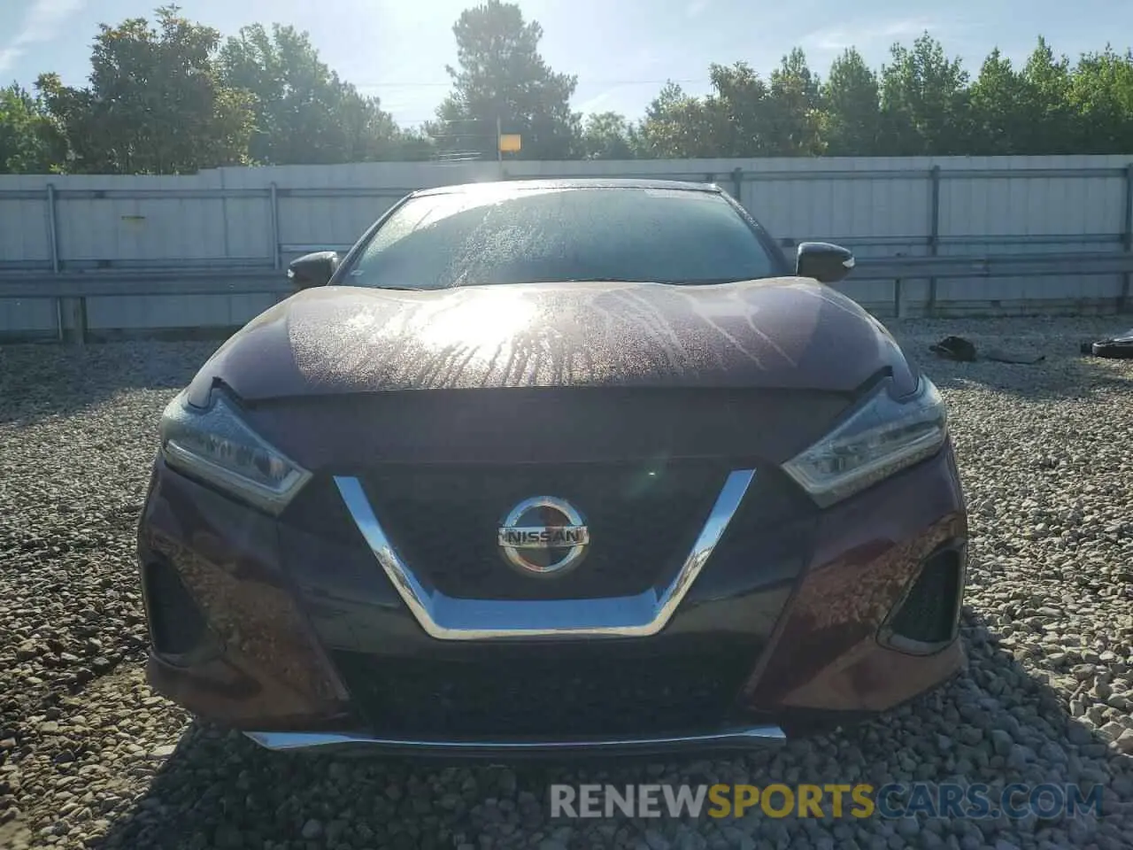 5 Photograph of a damaged car 1N4AA6AV5KC373640 NISSAN MAXIMA 2019