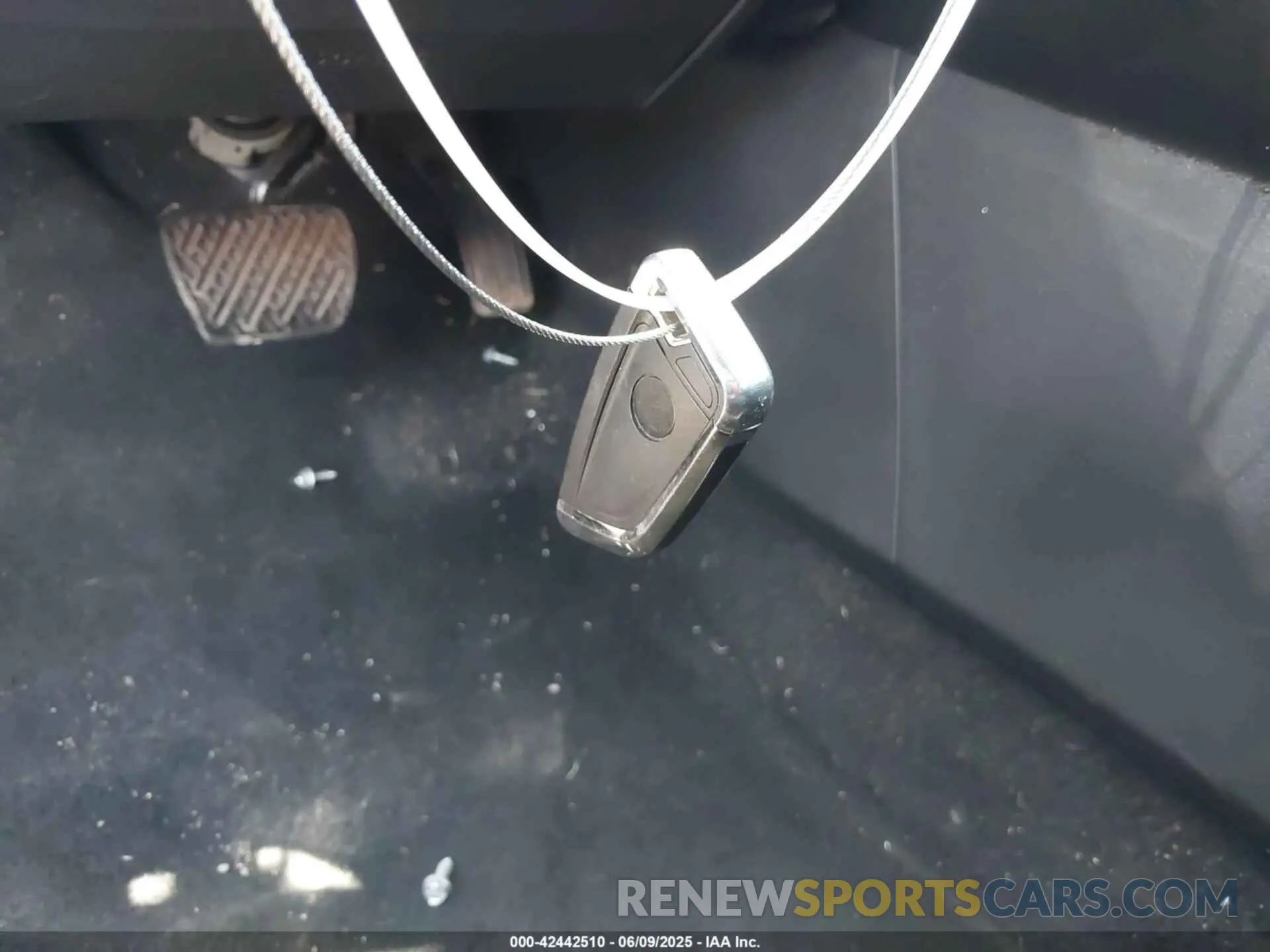 11 Photograph of a damaged car 1N4AA6AV5KC374738 NISSAN MAXIMA 2019