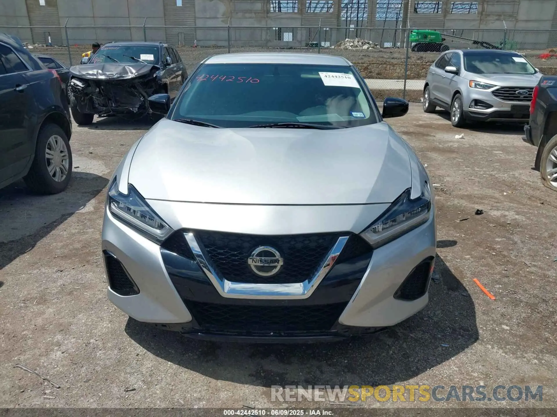 12 Photograph of a damaged car 1N4AA6AV5KC374738 NISSAN MAXIMA 2019