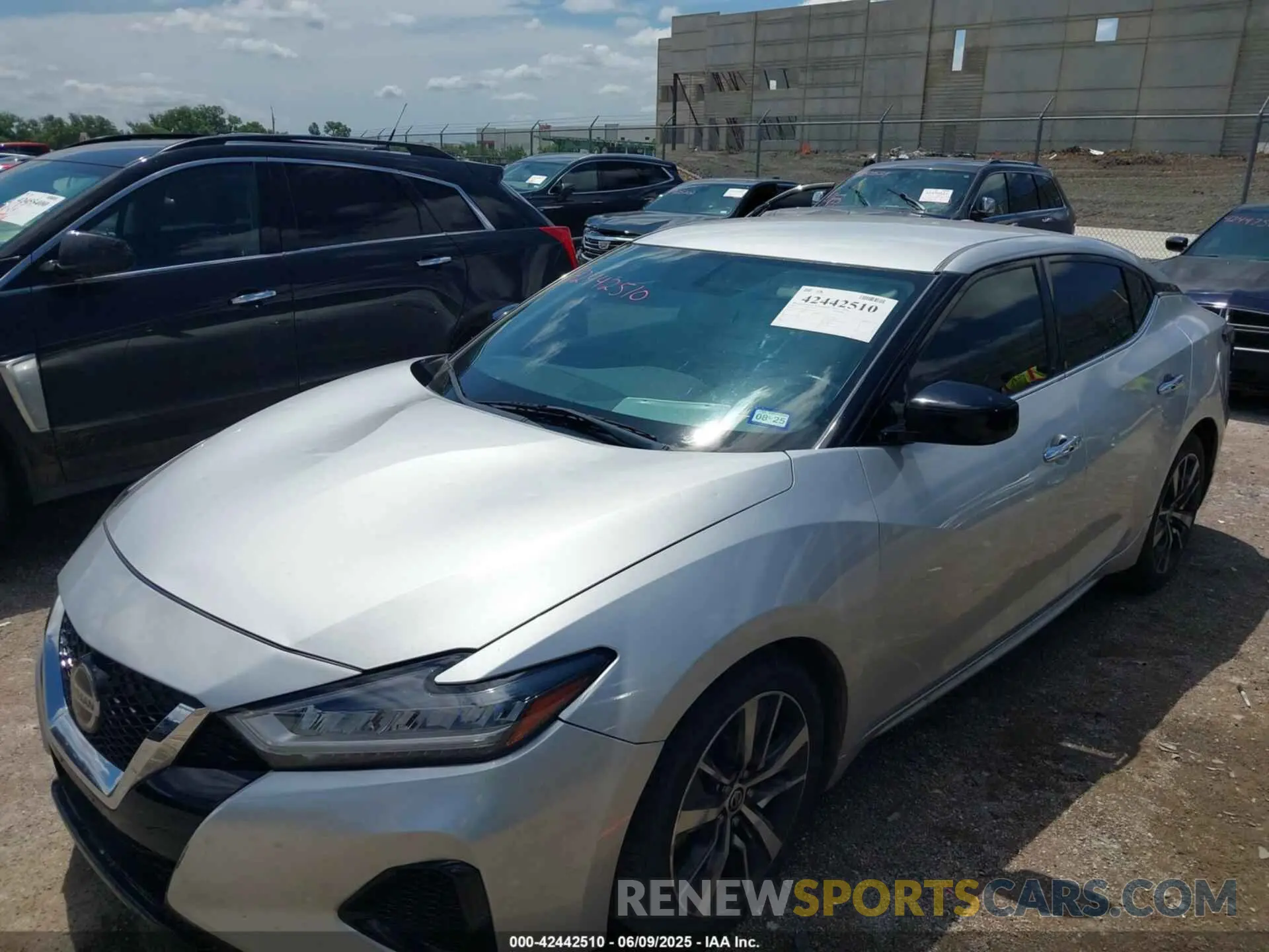 6 Photograph of a damaged car 1N4AA6AV5KC374738 NISSAN MAXIMA 2019