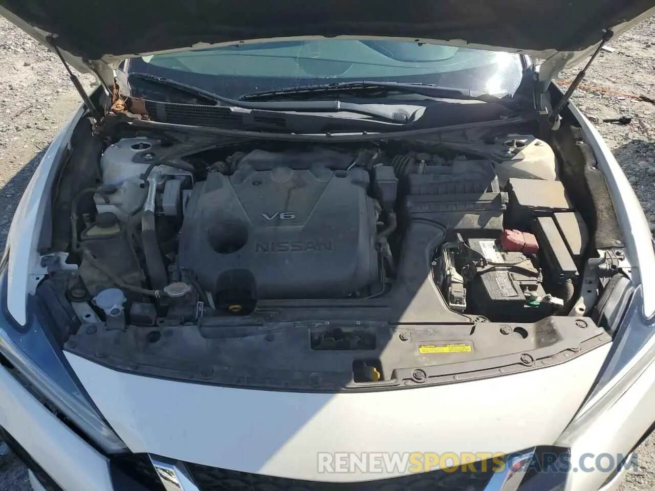 11 Photograph of a damaged car 1N4AA6AV5KC375016 NISSAN MAXIMA 2019