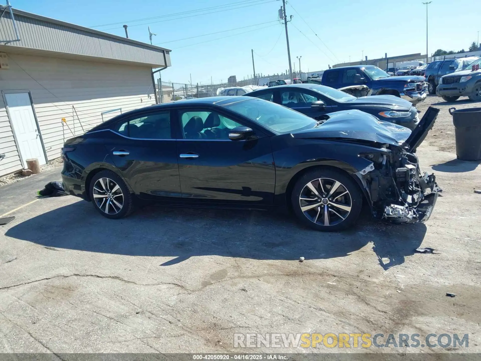 12 Photograph of a damaged car 1N4AA6AV5KC376053 NISSAN MAXIMA 2019