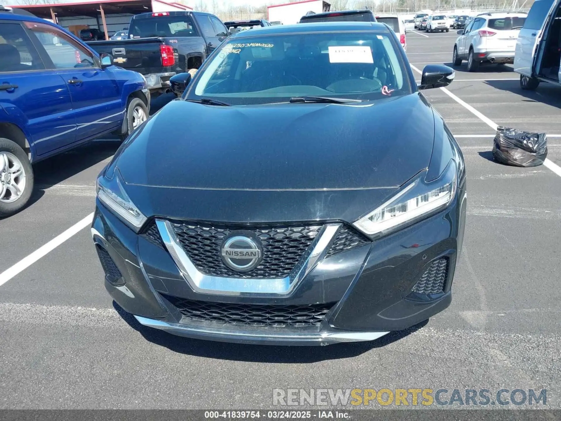 11 Photograph of a damaged car 1N4AA6AV5KC377042 NISSAN MAXIMA 2019