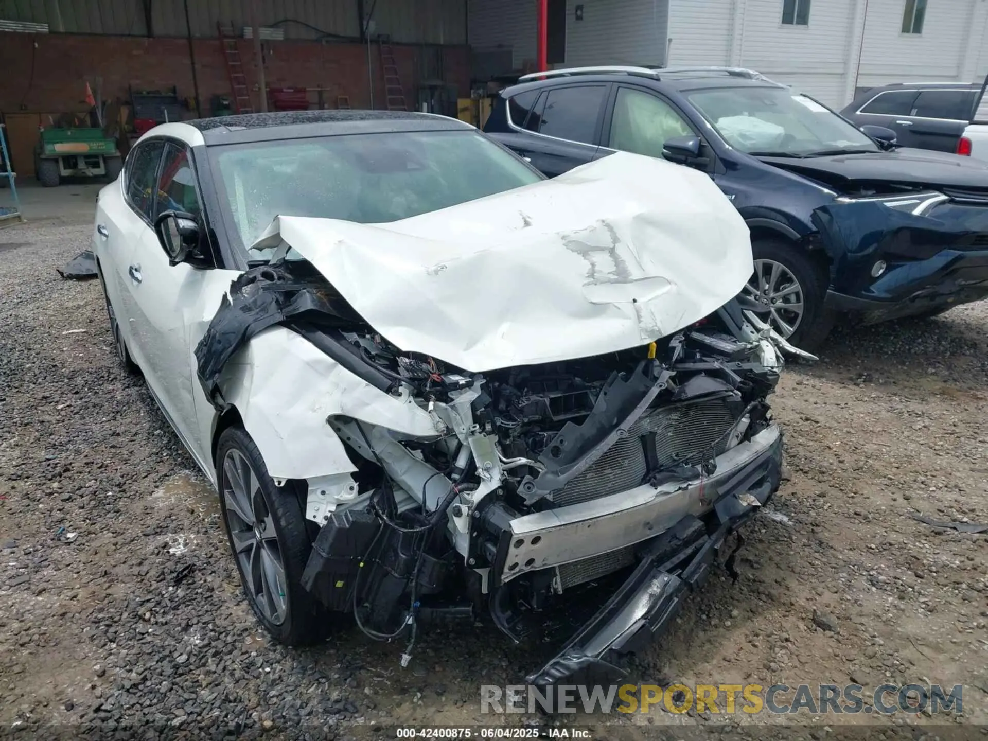 1 Photograph of a damaged car 1N4AA6AV5KC381057 NISSAN MAXIMA 2019