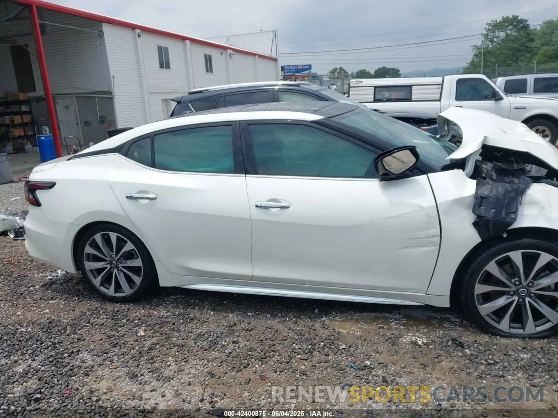 14 Photograph of a damaged car 1N4AA6AV5KC381057 NISSAN MAXIMA 2019