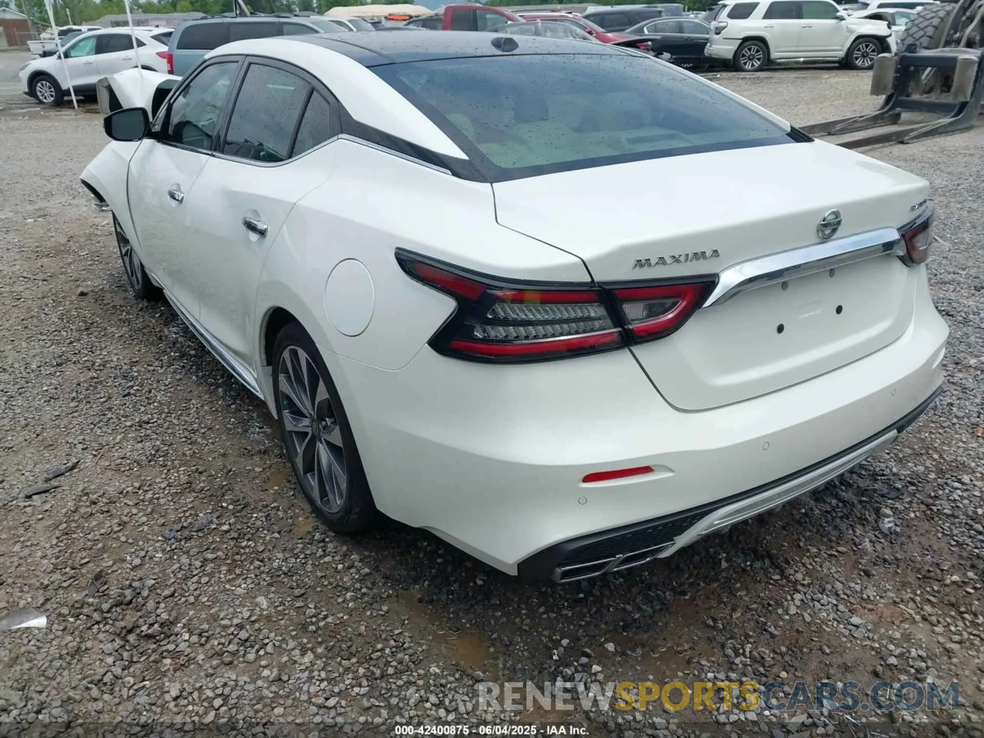3 Photograph of a damaged car 1N4AA6AV5KC381057 NISSAN MAXIMA 2019