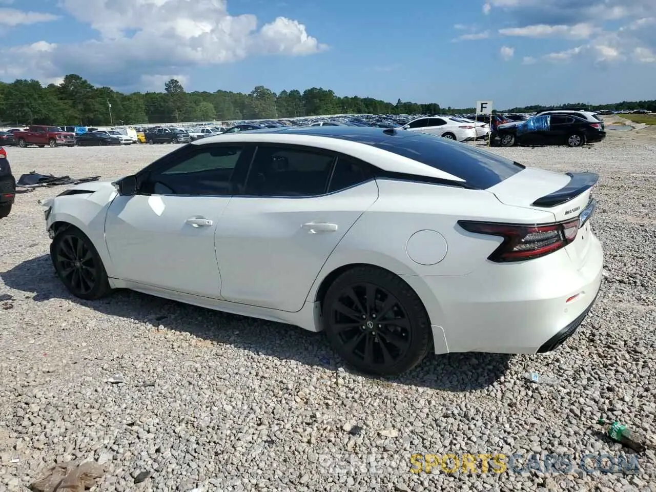 2 Photograph of a damaged car 1N4AA6AV5KC382774 NISSAN MAXIMA 2019