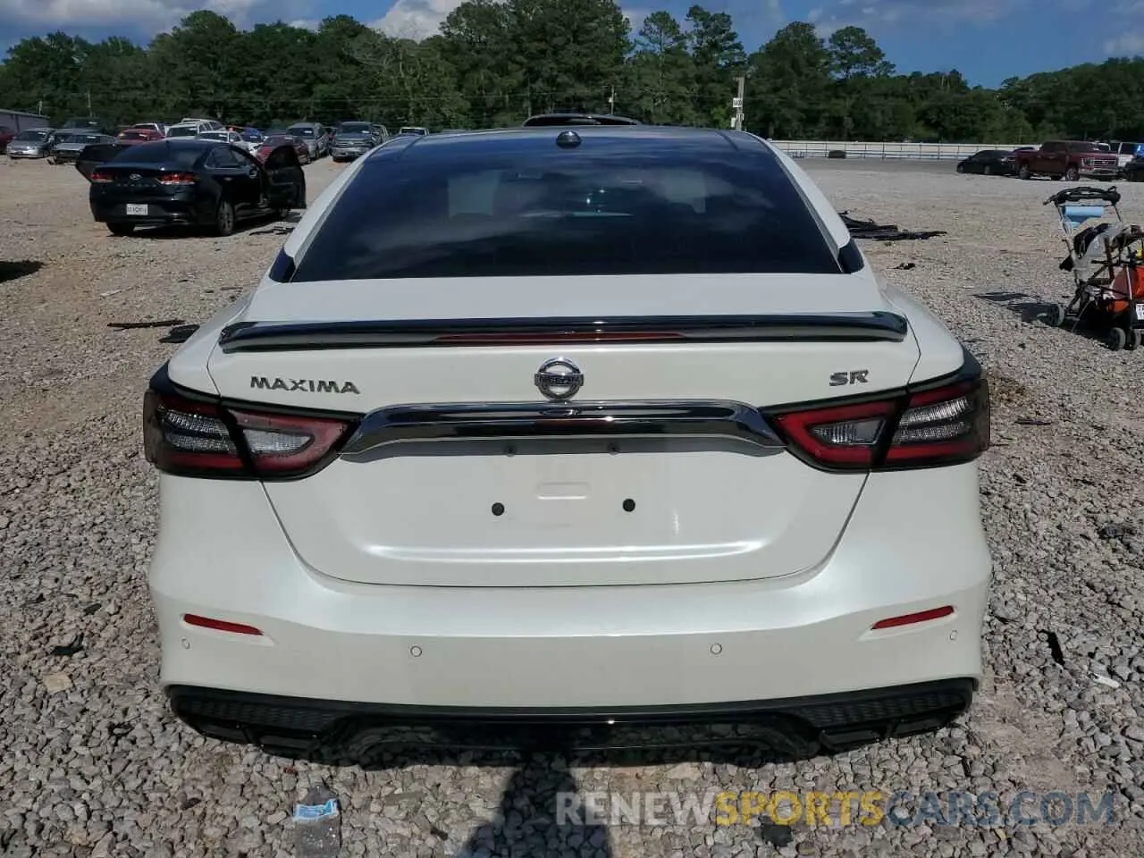 7 Photograph of a damaged car 1N4AA6AV5KC382774 NISSAN MAXIMA 2019