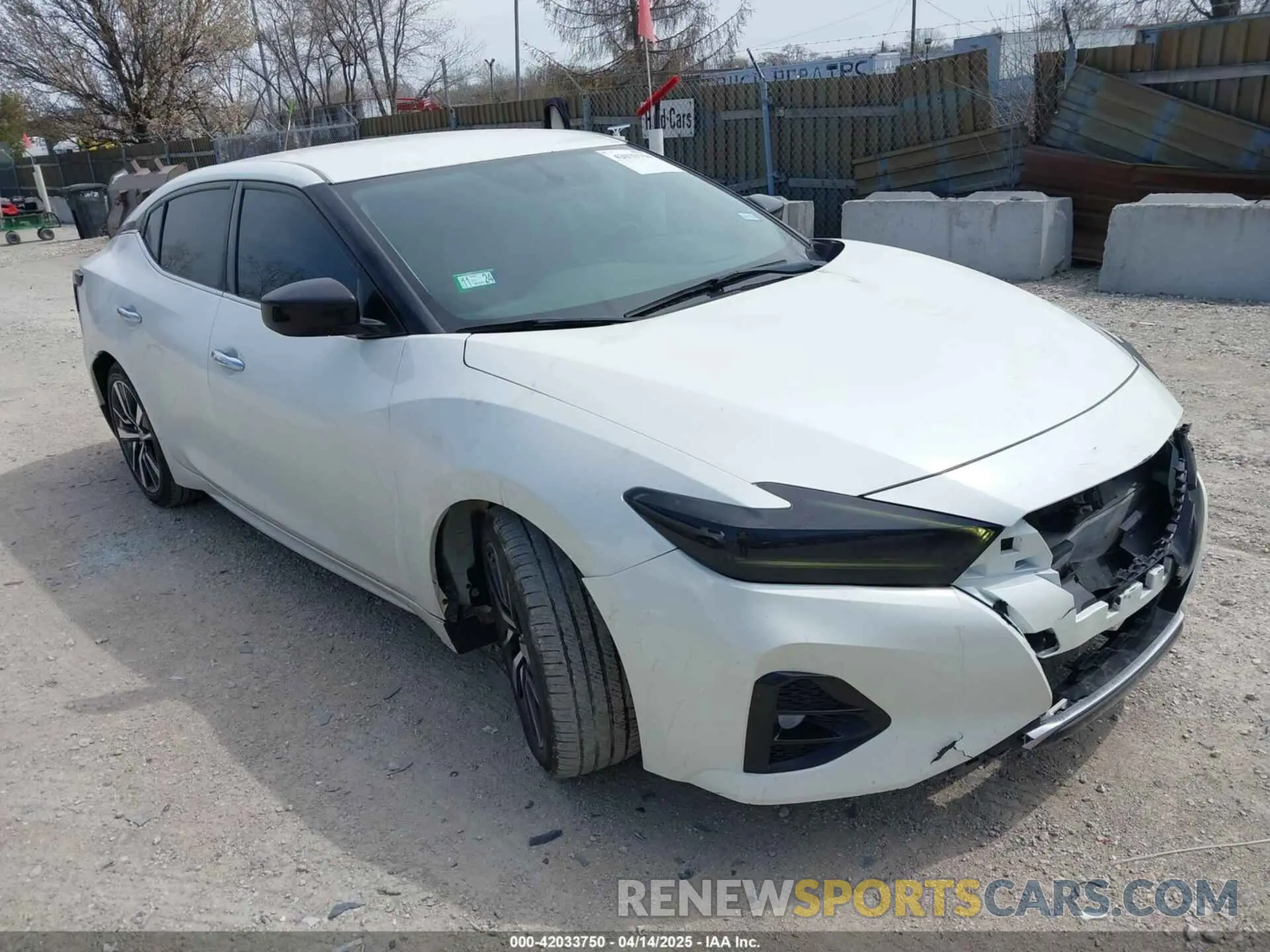 1 Photograph of a damaged car 1N4AA6AV5KC384217 NISSAN MAXIMA 2019