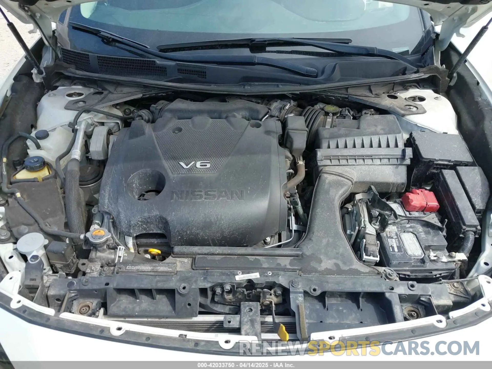10 Photograph of a damaged car 1N4AA6AV5KC384217 NISSAN MAXIMA 2019
