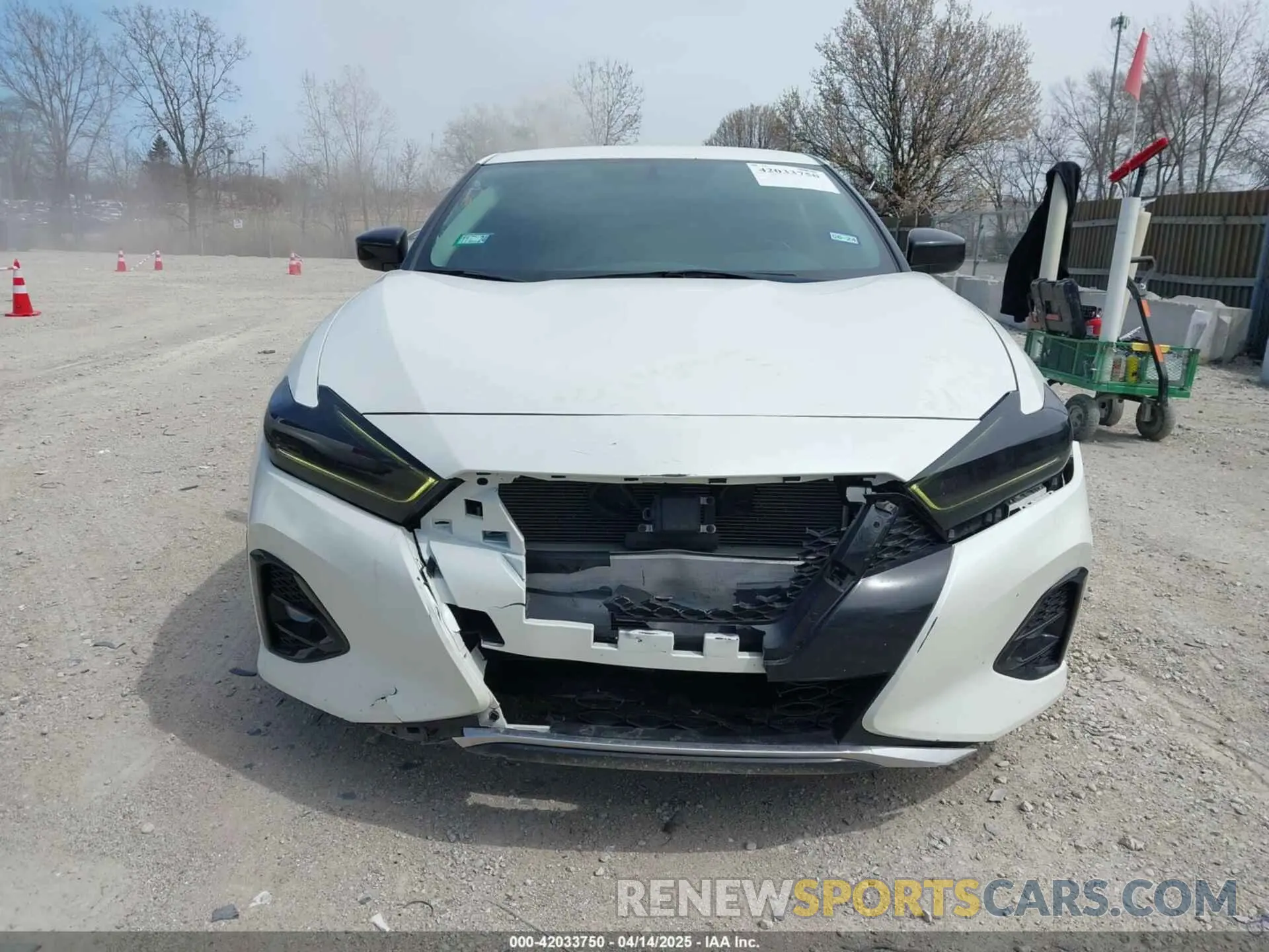 12 Photograph of a damaged car 1N4AA6AV5KC384217 NISSAN MAXIMA 2019