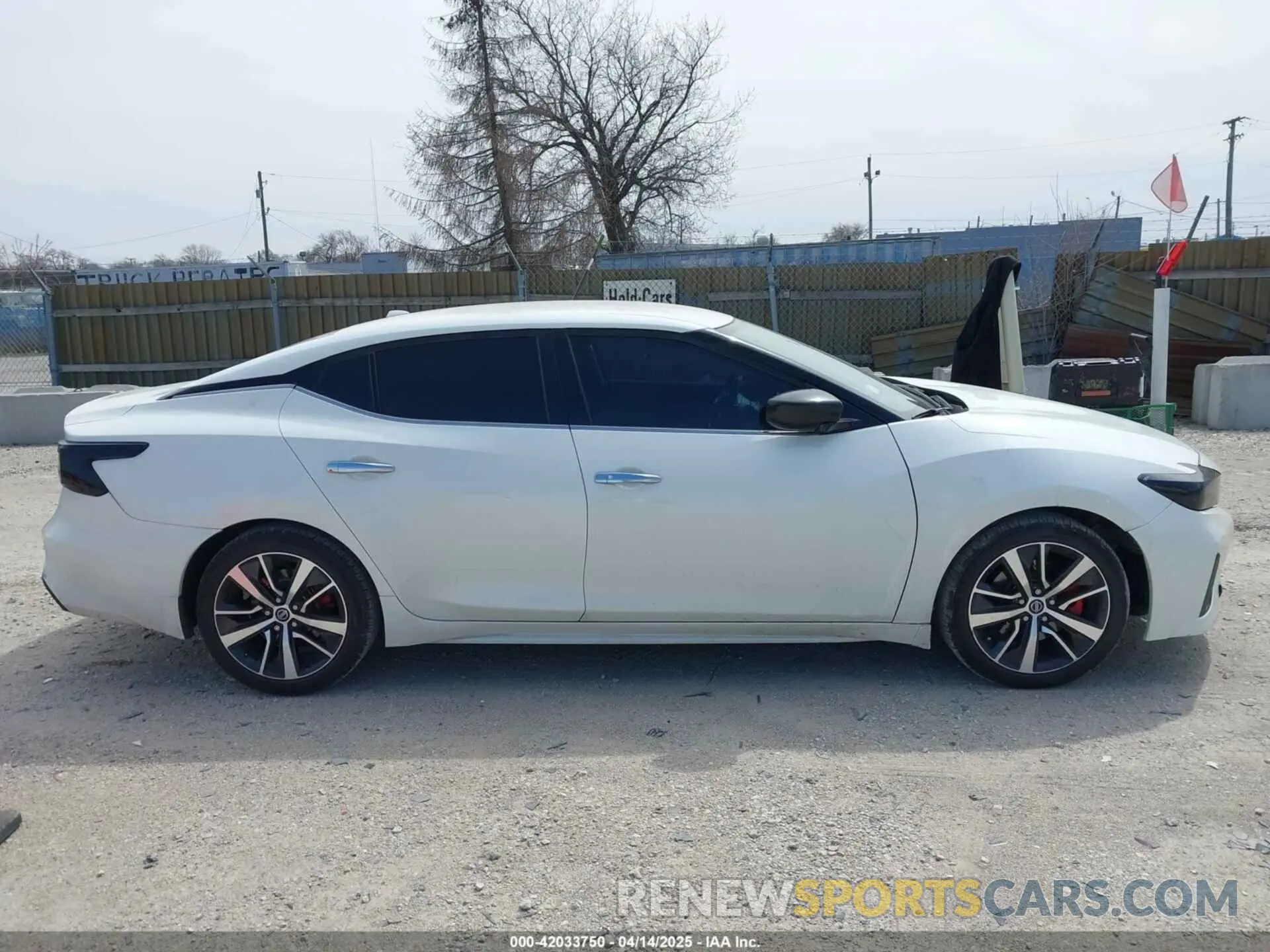 13 Photograph of a damaged car 1N4AA6AV5KC384217 NISSAN MAXIMA 2019