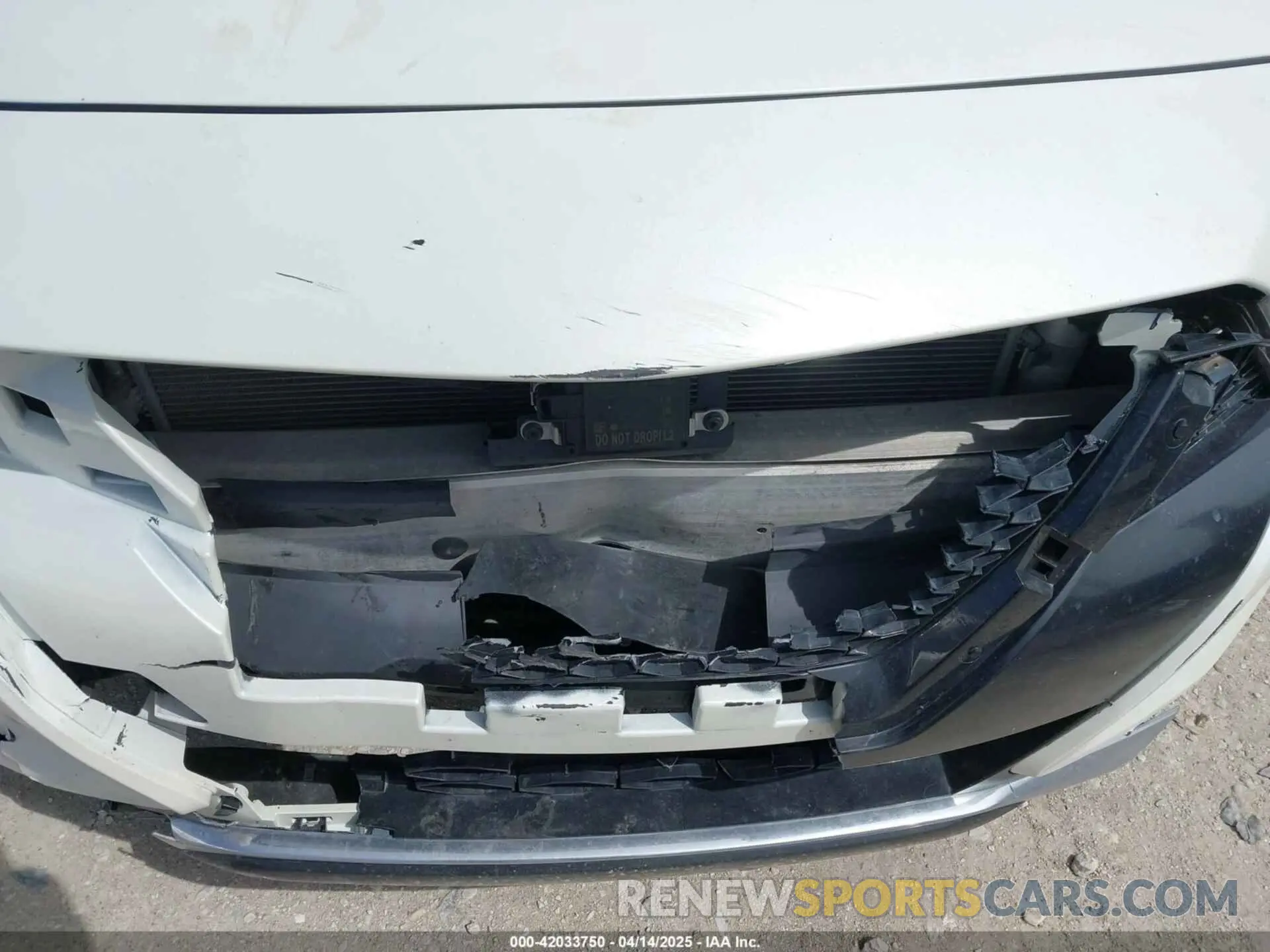 17 Photograph of a damaged car 1N4AA6AV5KC384217 NISSAN MAXIMA 2019