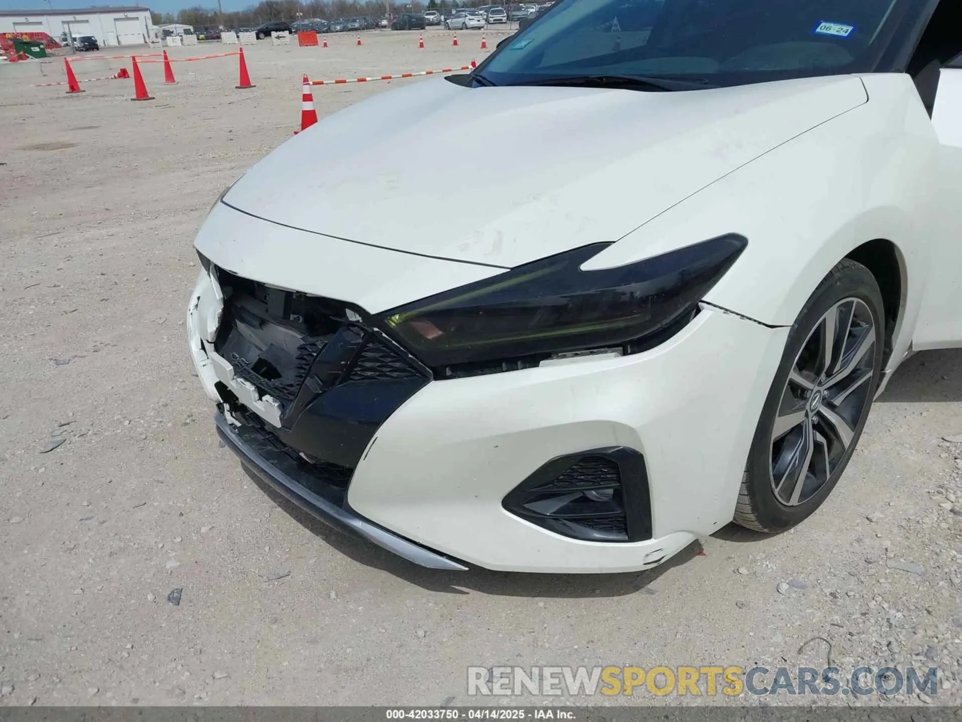 19 Photograph of a damaged car 1N4AA6AV5KC384217 NISSAN MAXIMA 2019