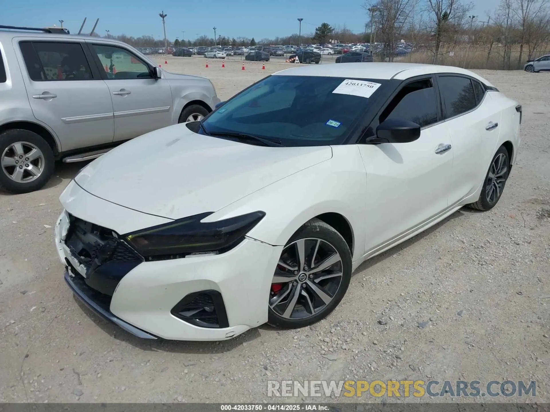 2 Photograph of a damaged car 1N4AA6AV5KC384217 NISSAN MAXIMA 2019