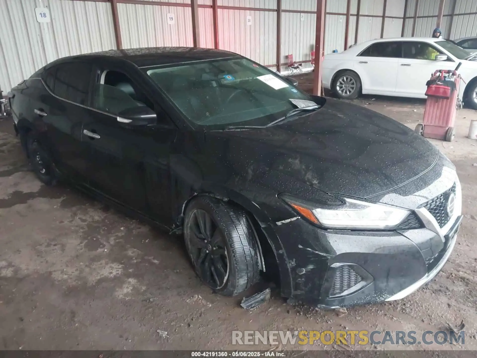 1 Photograph of a damaged car 1N4AA6AV6KC365031 NISSAN MAXIMA 2019