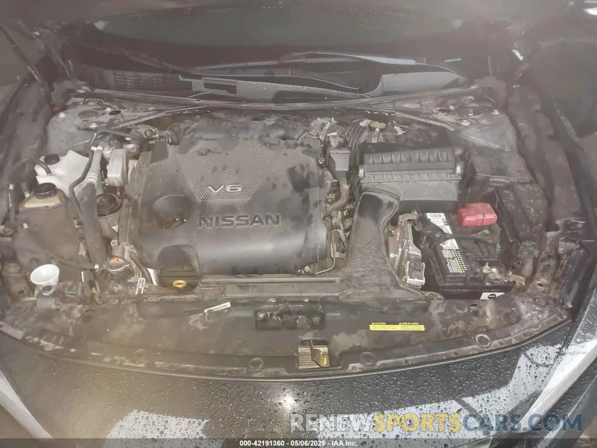 10 Photograph of a damaged car 1N4AA6AV6KC365031 NISSAN MAXIMA 2019
