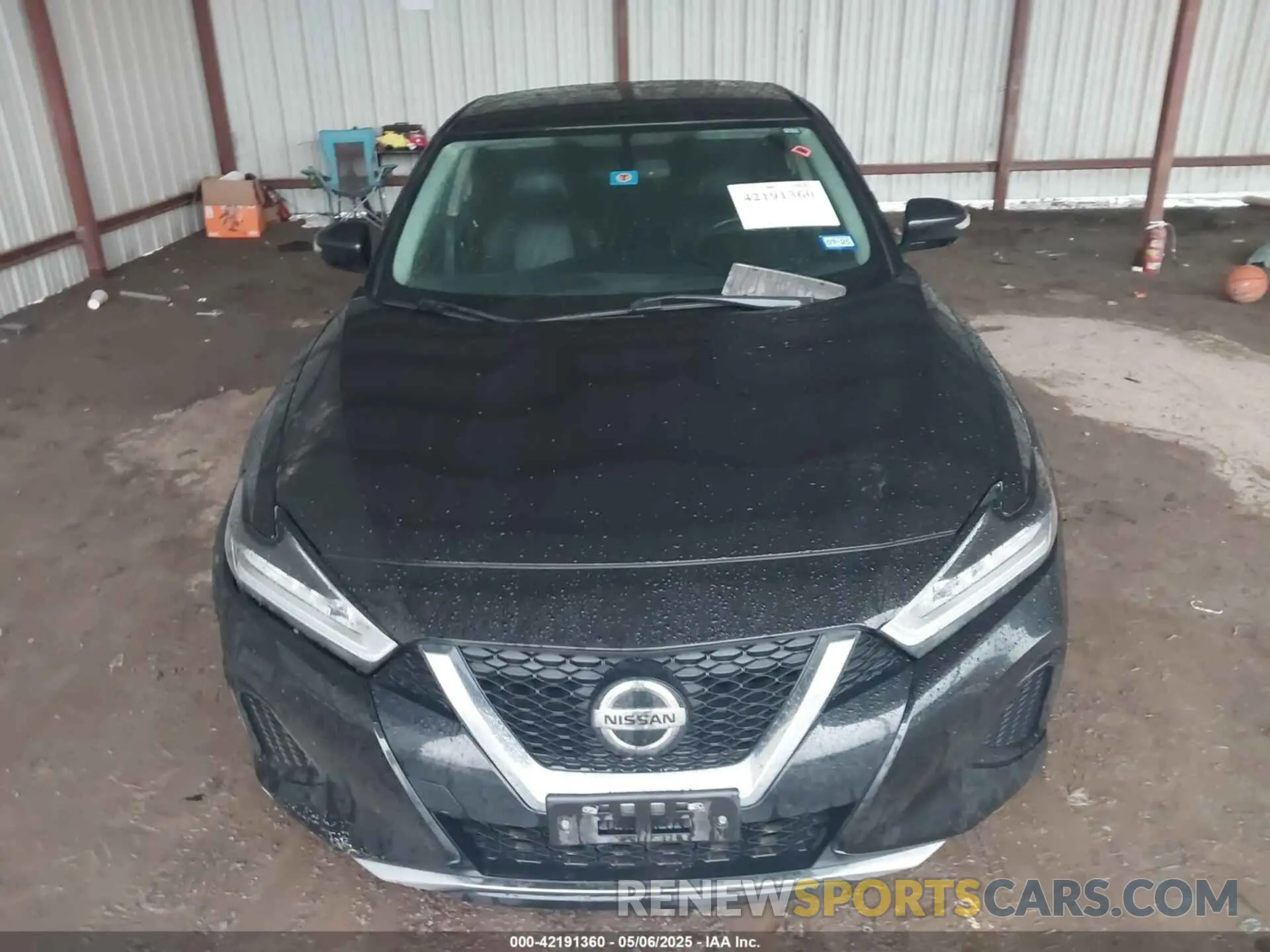 12 Photograph of a damaged car 1N4AA6AV6KC365031 NISSAN MAXIMA 2019
